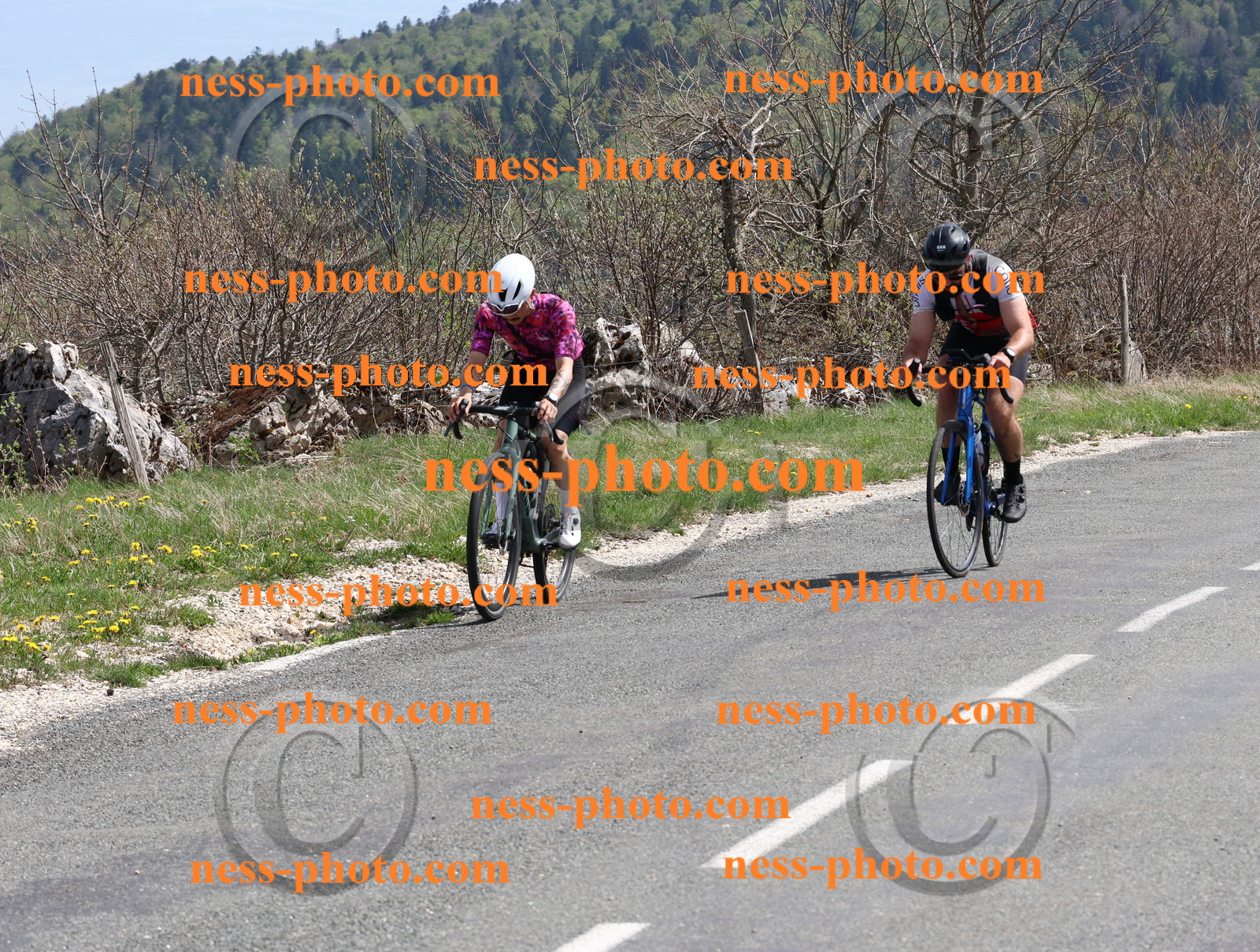 Col du Grand Colombier (988).JPG