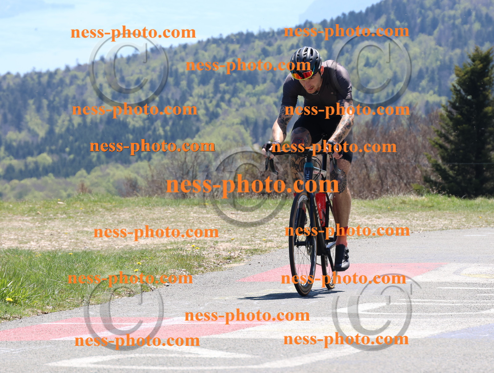 Col du Grand Colombier (622).JPG