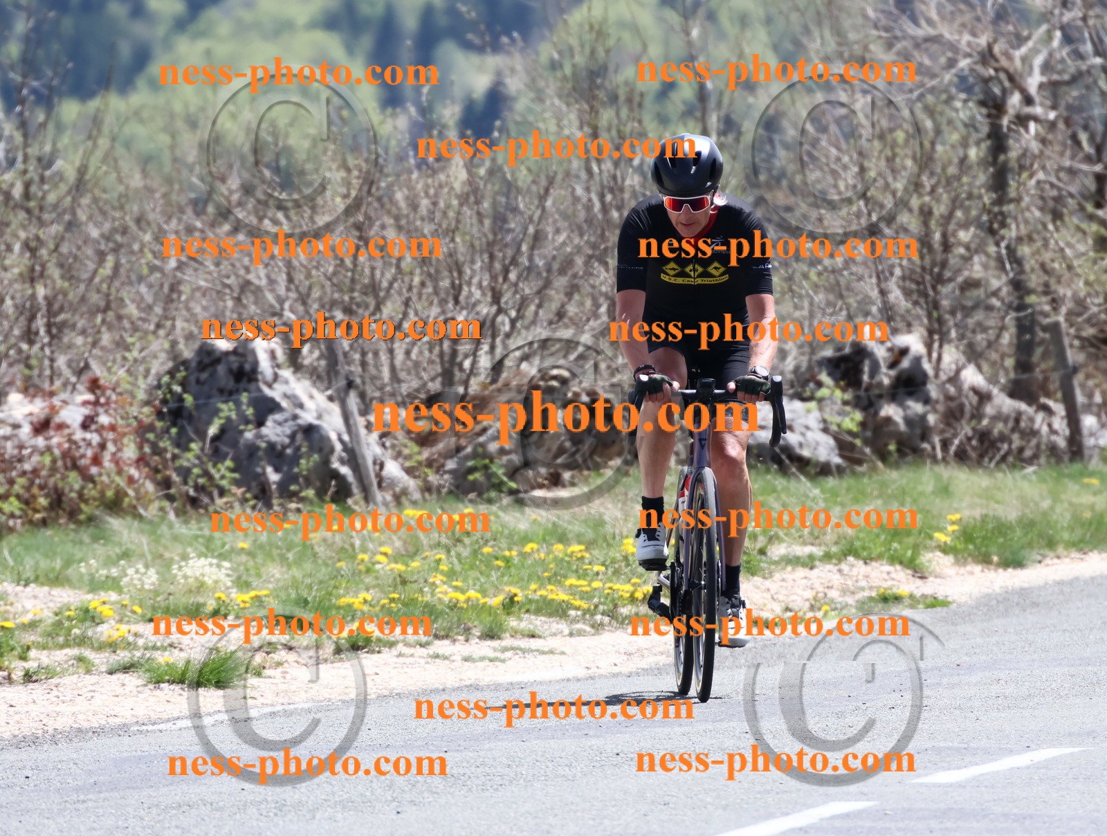 Col du Grand Colombier (785).JPG