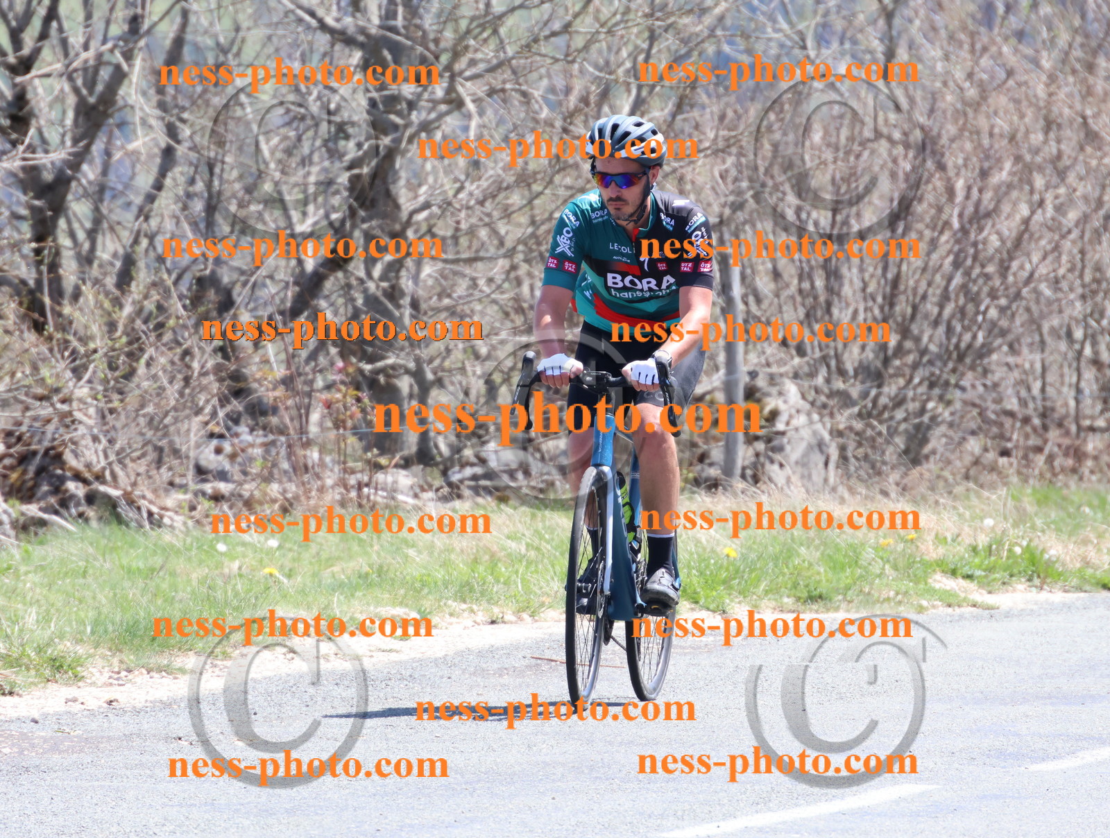 Col du Grand Colombier (873).JPG