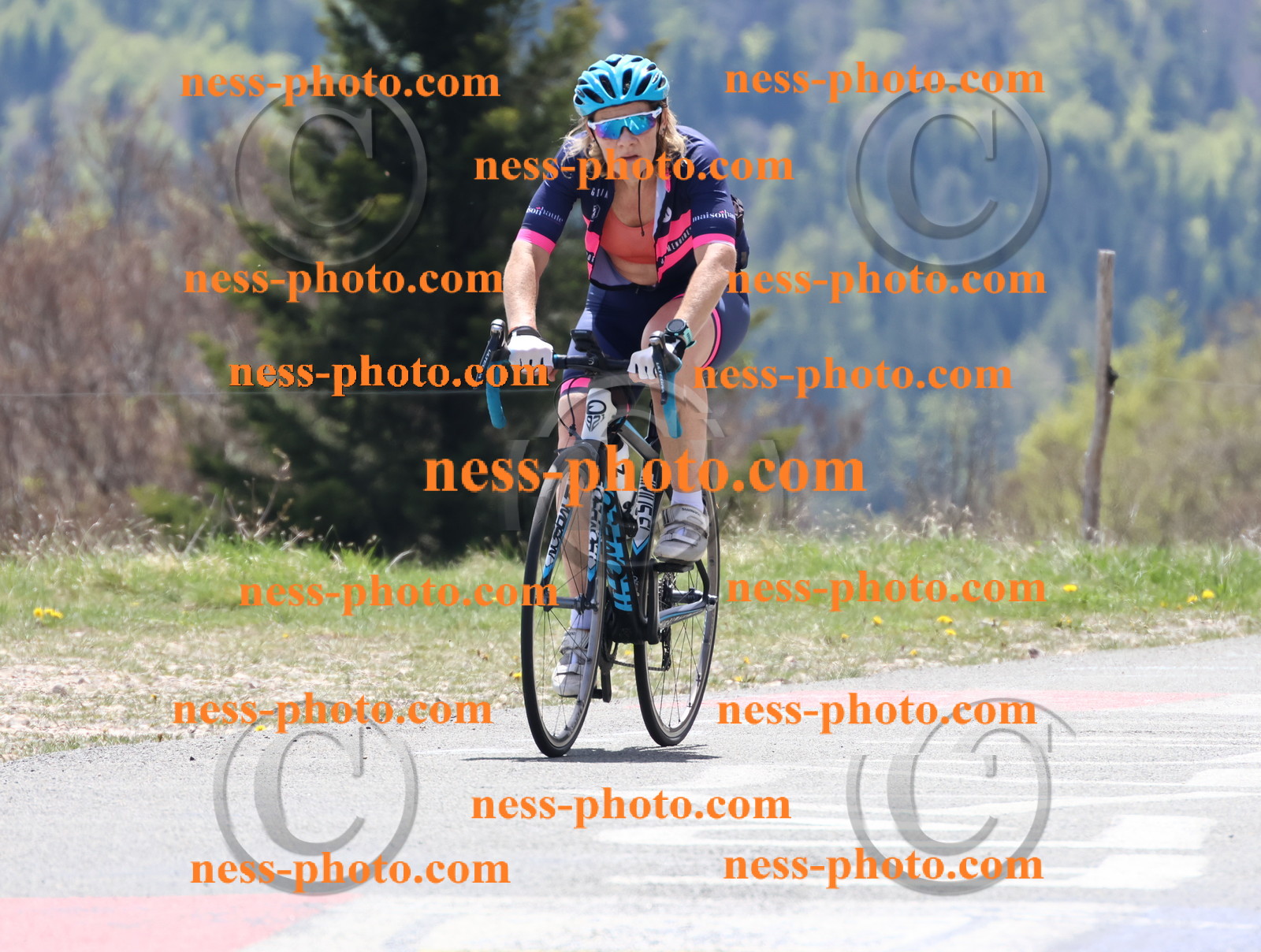 Col du Grand Colombier (584).JPG