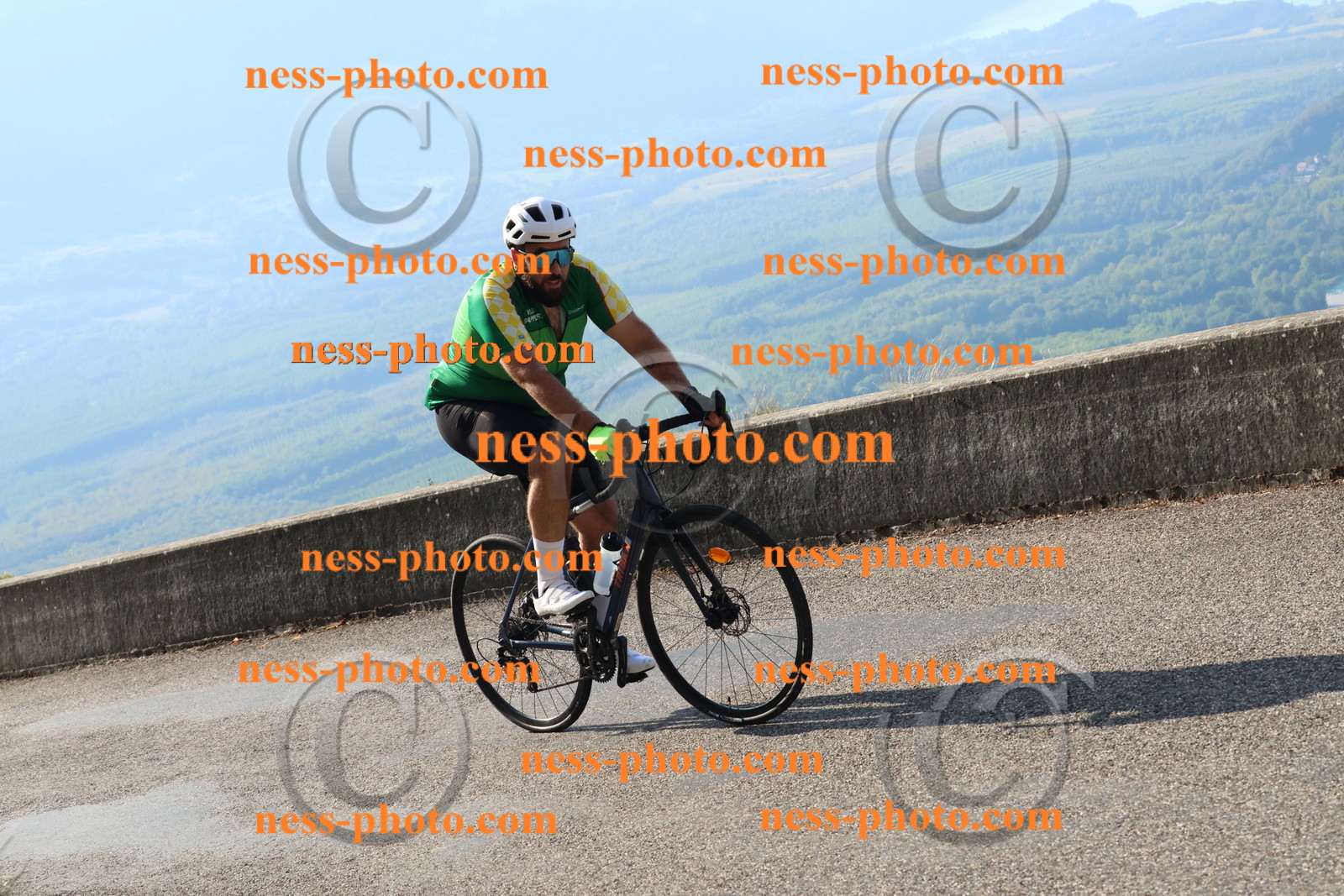 Col du Grand Colombier (773).JPG