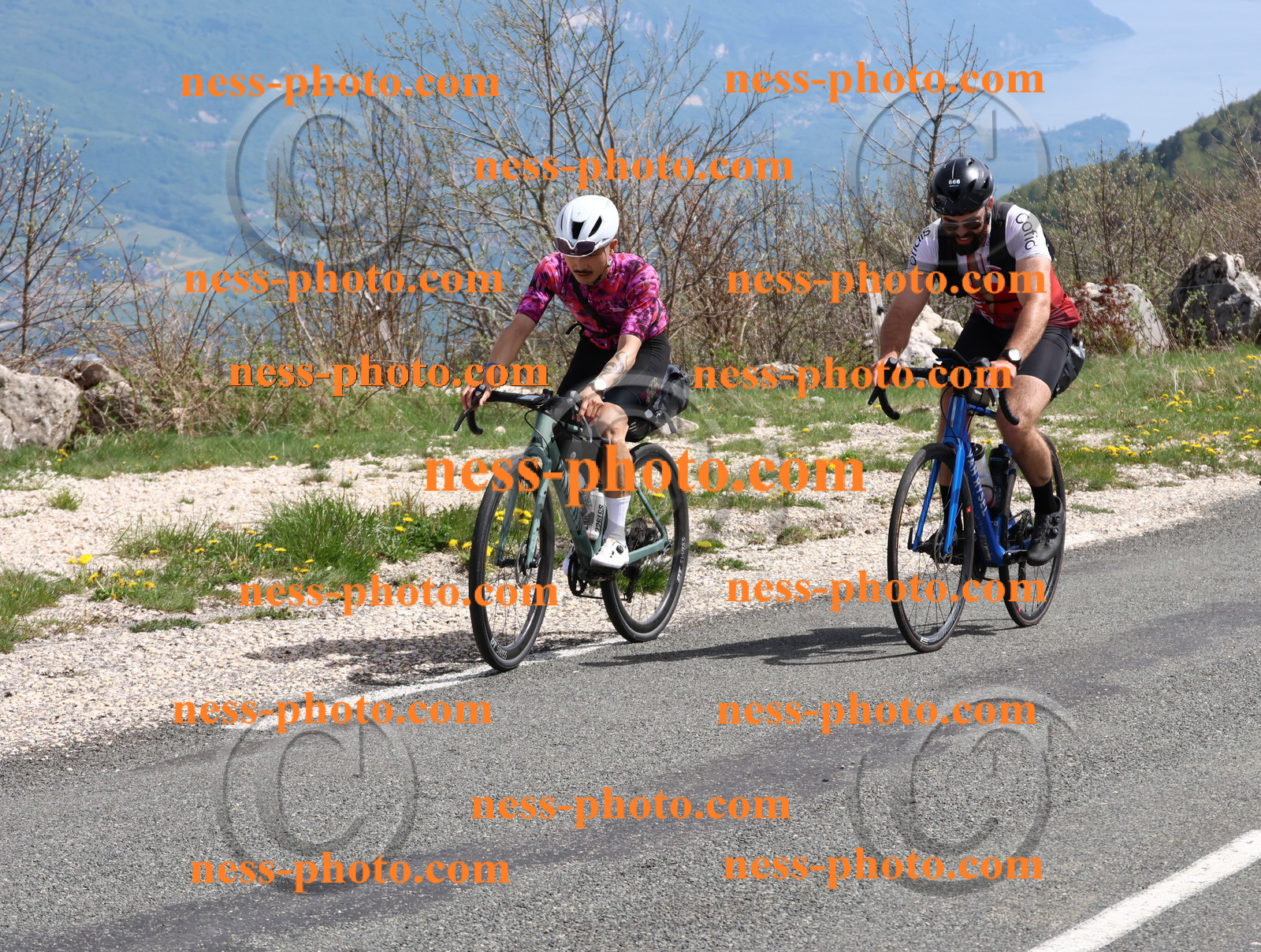 Col du Grand Colombier (992).JPG