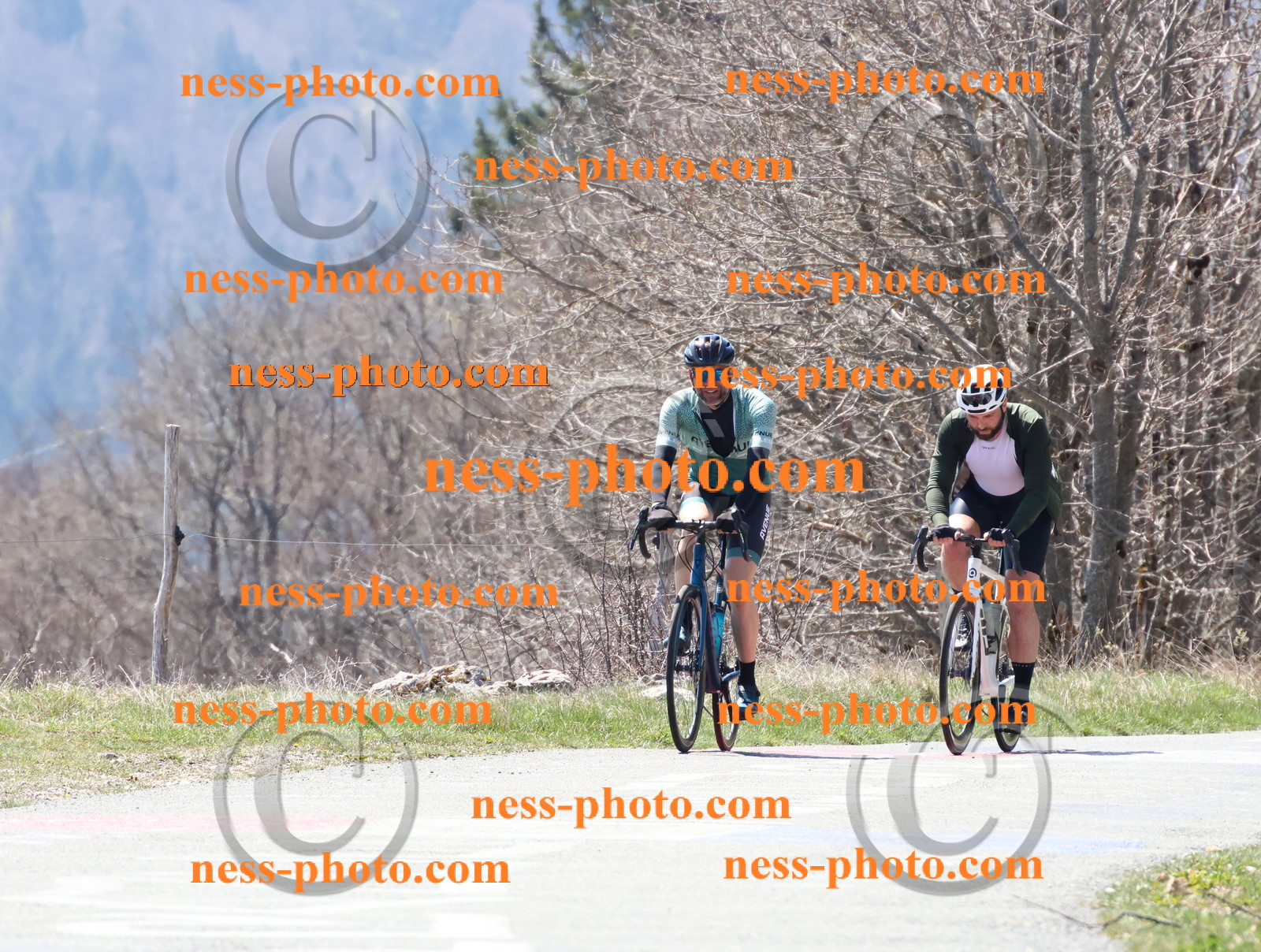 Col du Grand Colombier (143).JPG