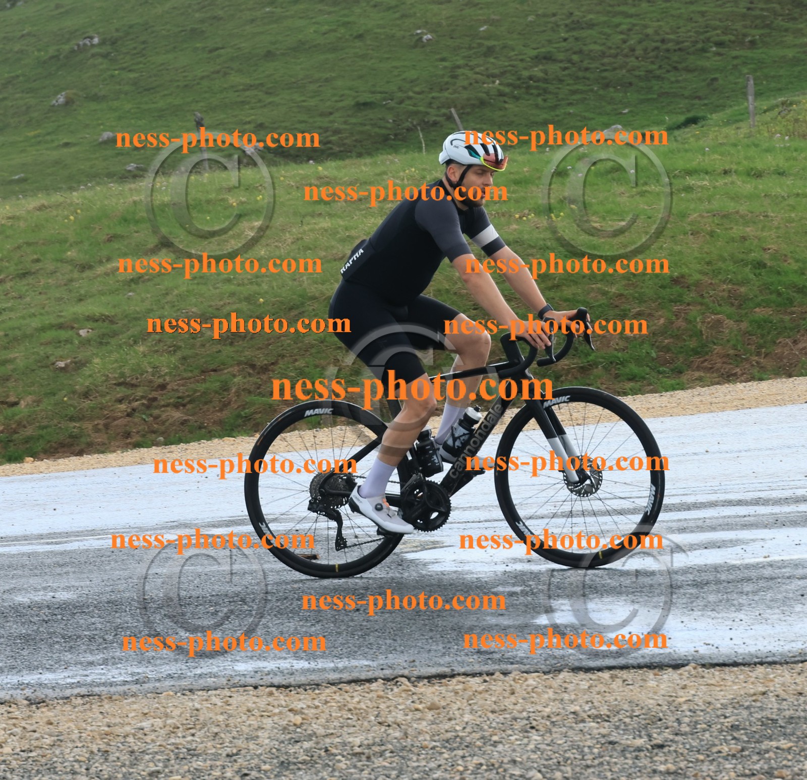 Col du Grand Colombier (246).JPG