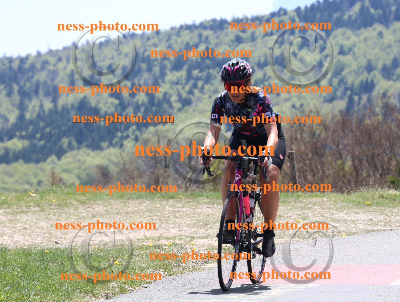 Col du Grand Colombier (551).JPG