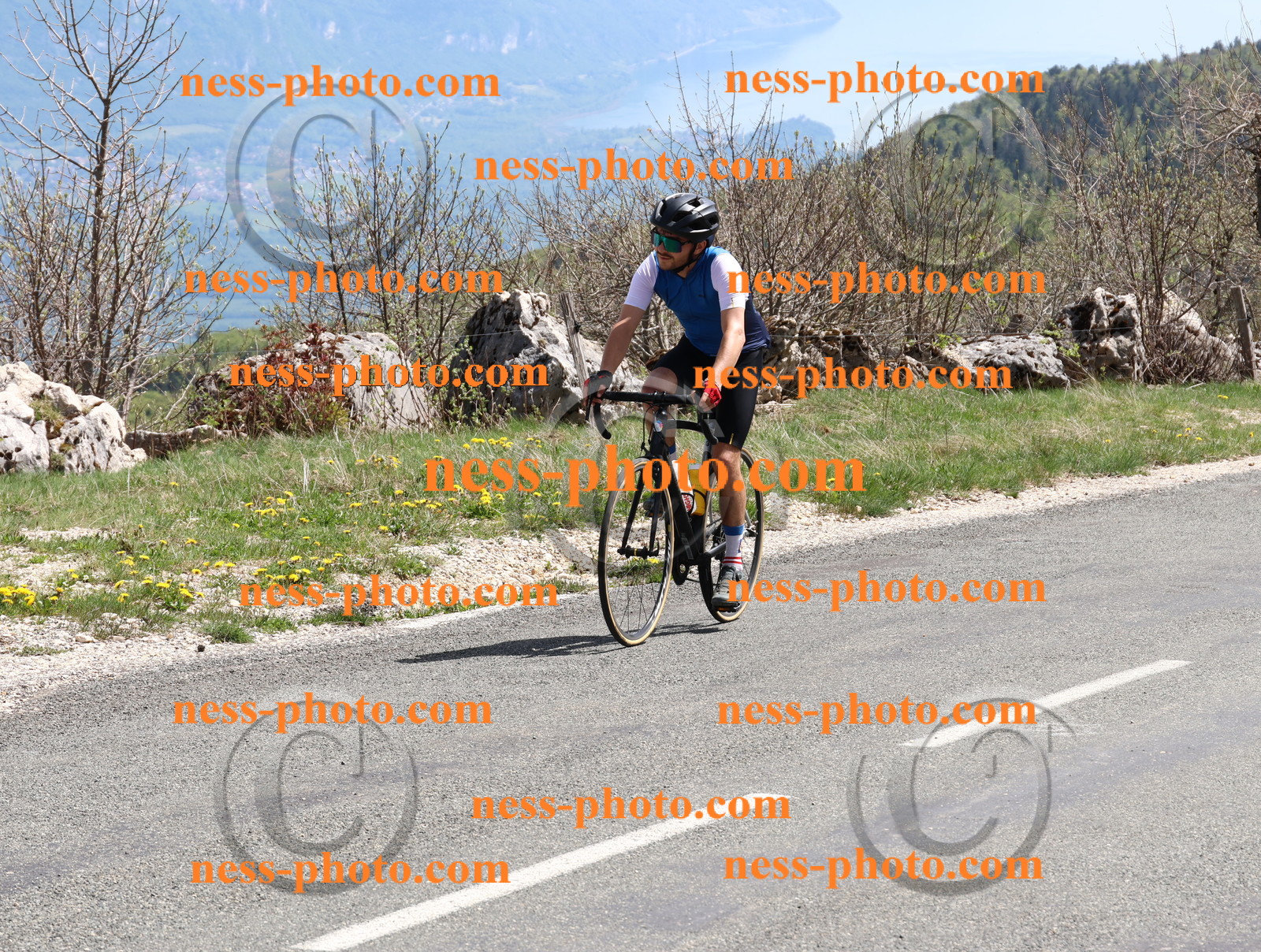 Col du Grand Colombier (882).JPG