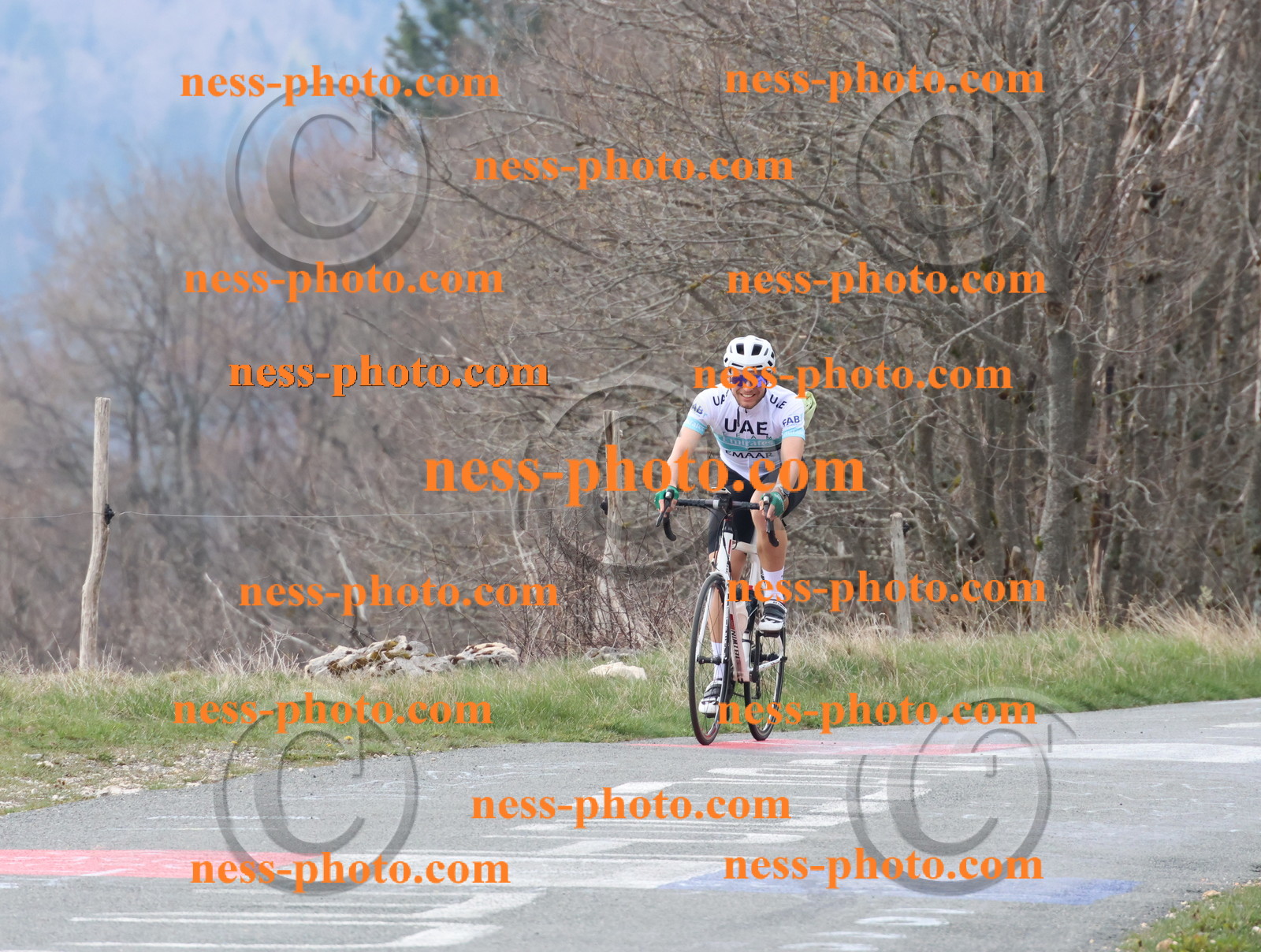 Col du Grand Colombier (139).JPG