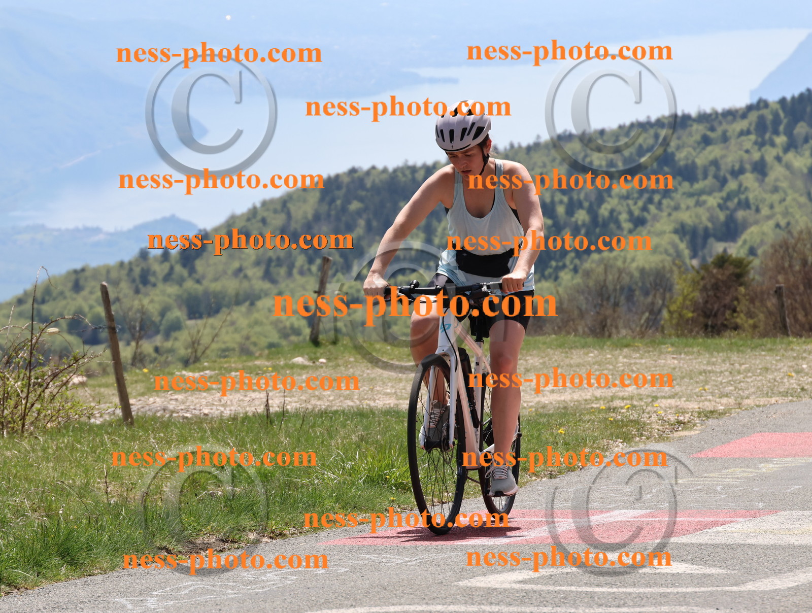 Col du Grand Colombier (430).JPG