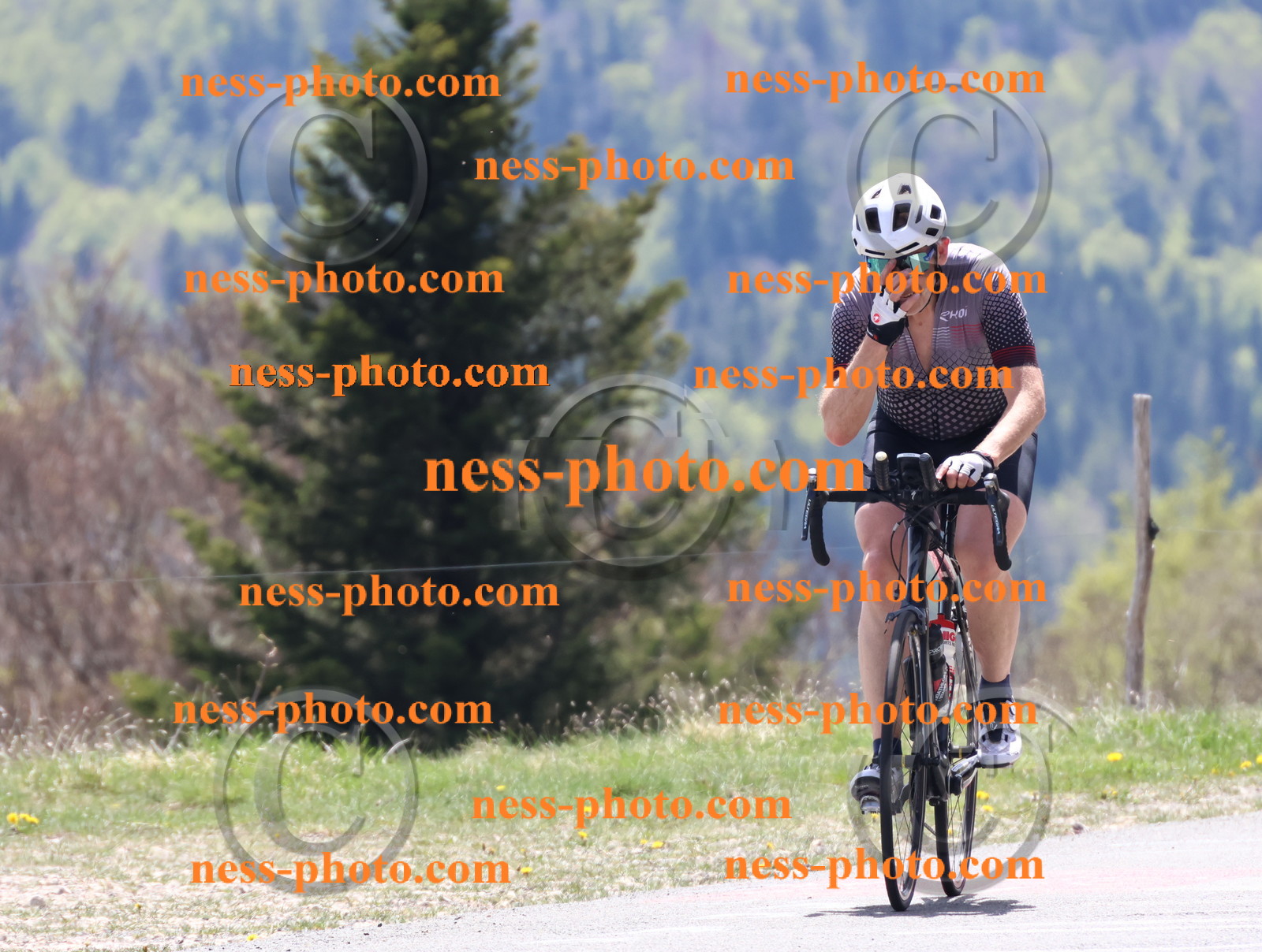 Col du Grand Colombier (522).JPG