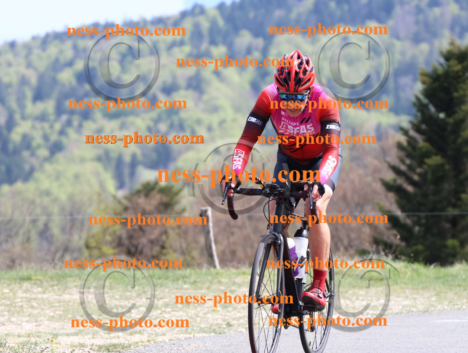 Col du Grand Colombier (1049).JPG