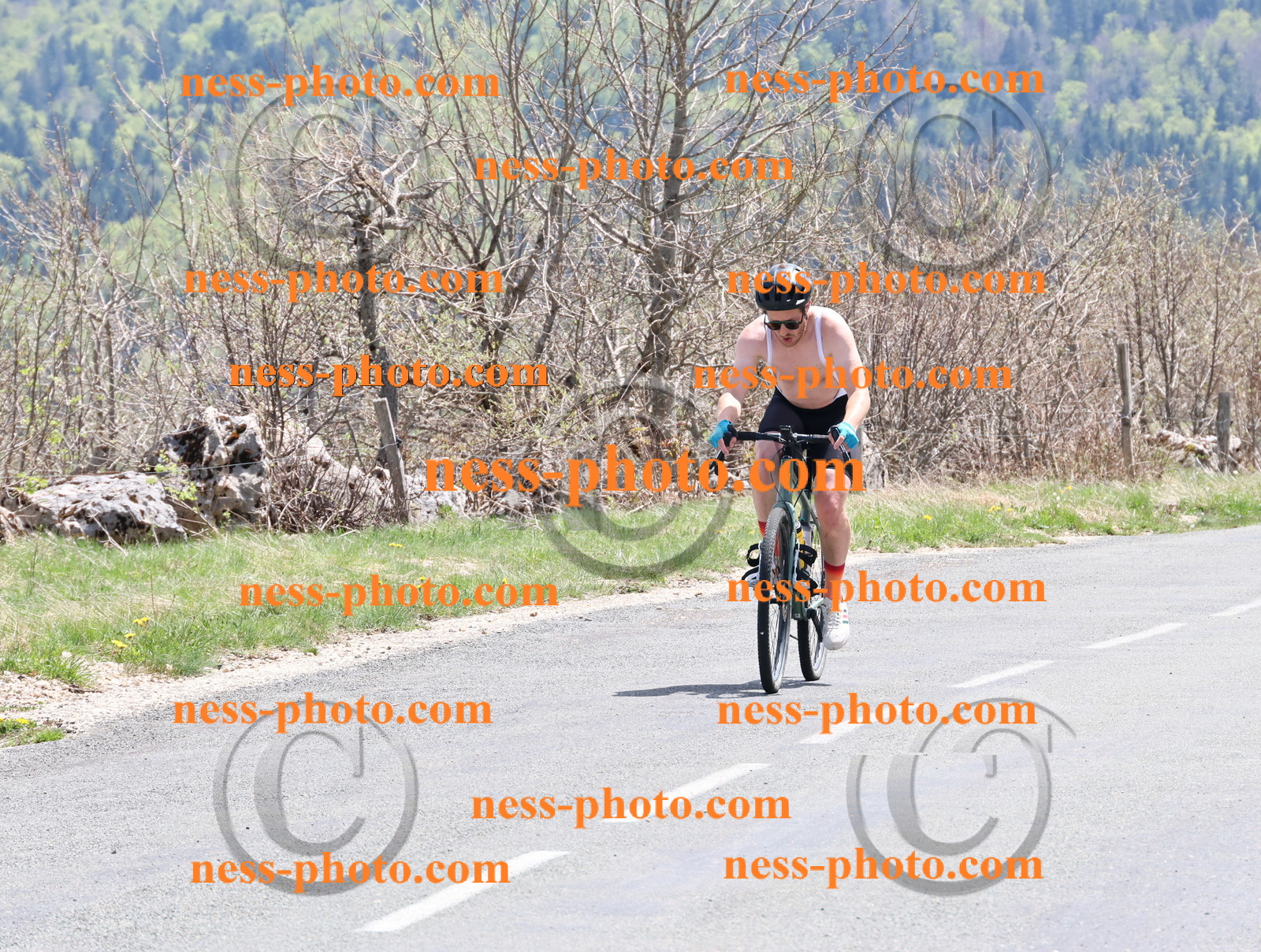 Col du Grand Colombier (824).JPG