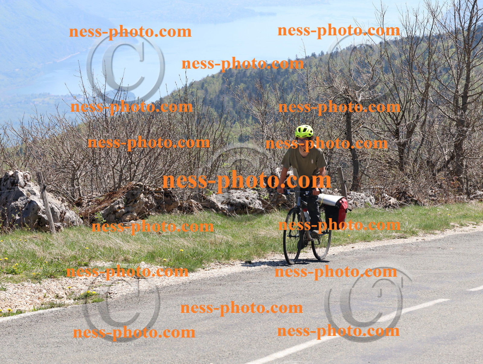 Col du Grand Colombier (790).JPG