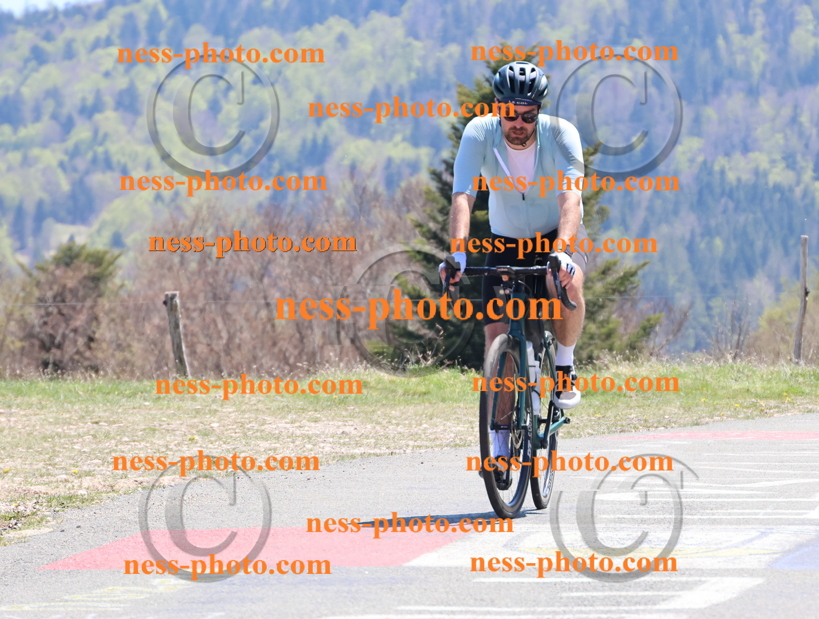 Col du Grand Colombier (778).JPG