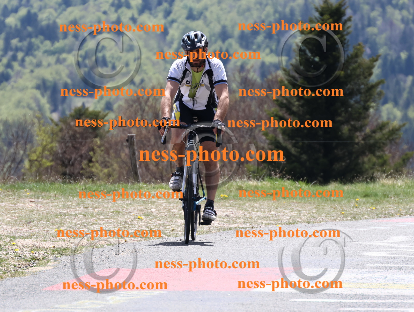 Col du Grand Colombier (580).JPG