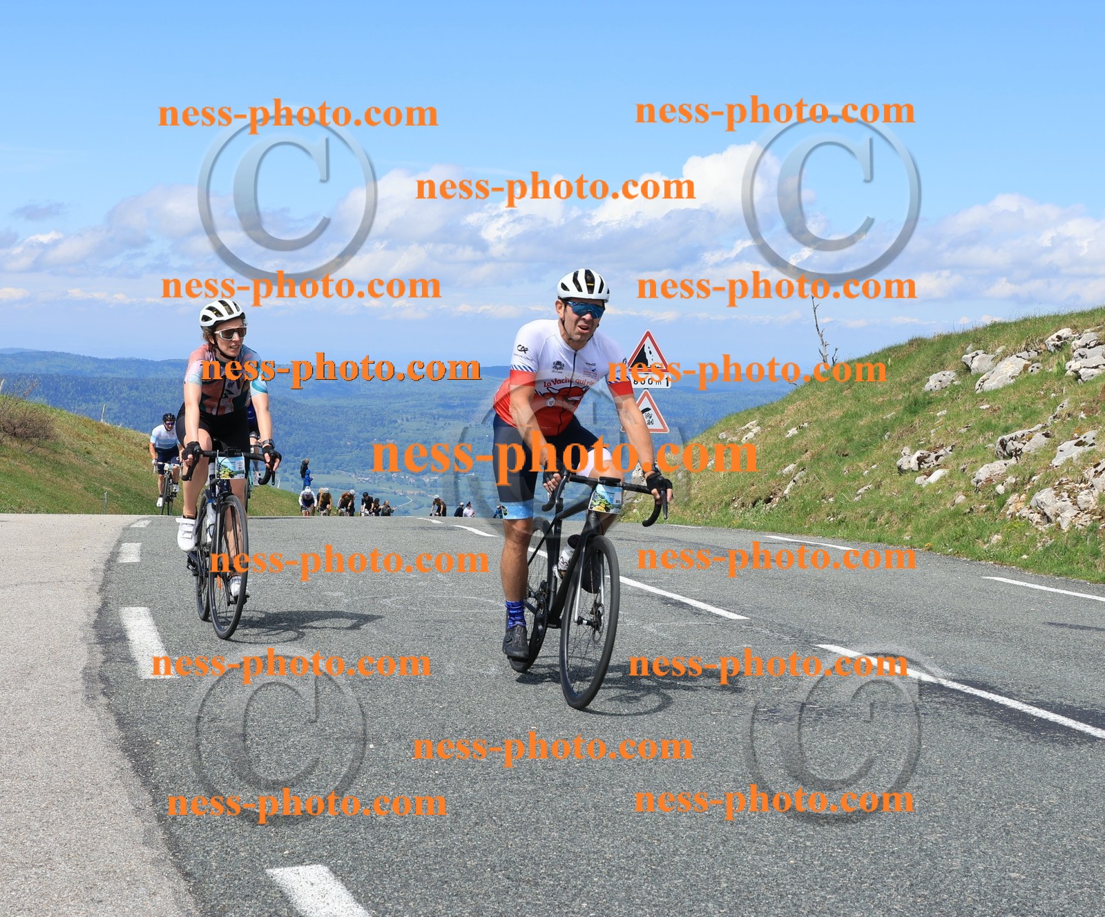 Col du Grand Colombier (1134).JPG