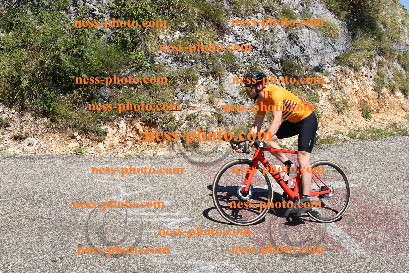 Col du Grand Colombier (684).JPG