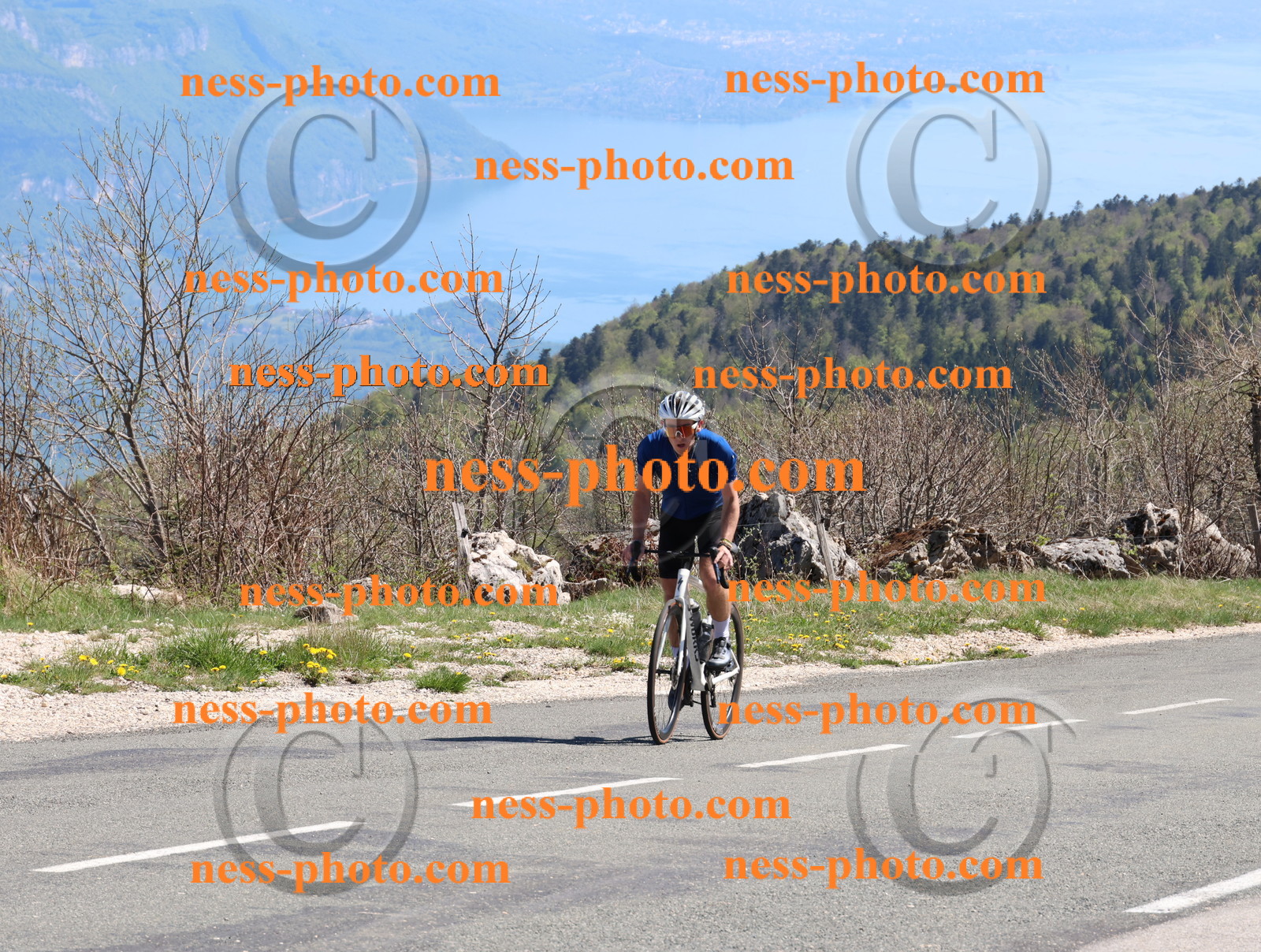 Col du Grand Colombier (909).JPG