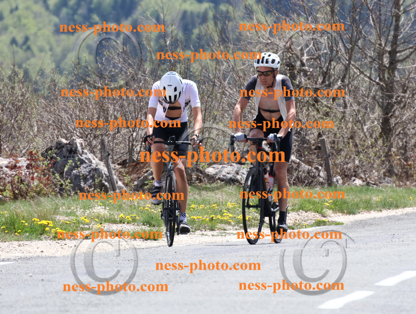 Col du Grand Colombier (748).JPG