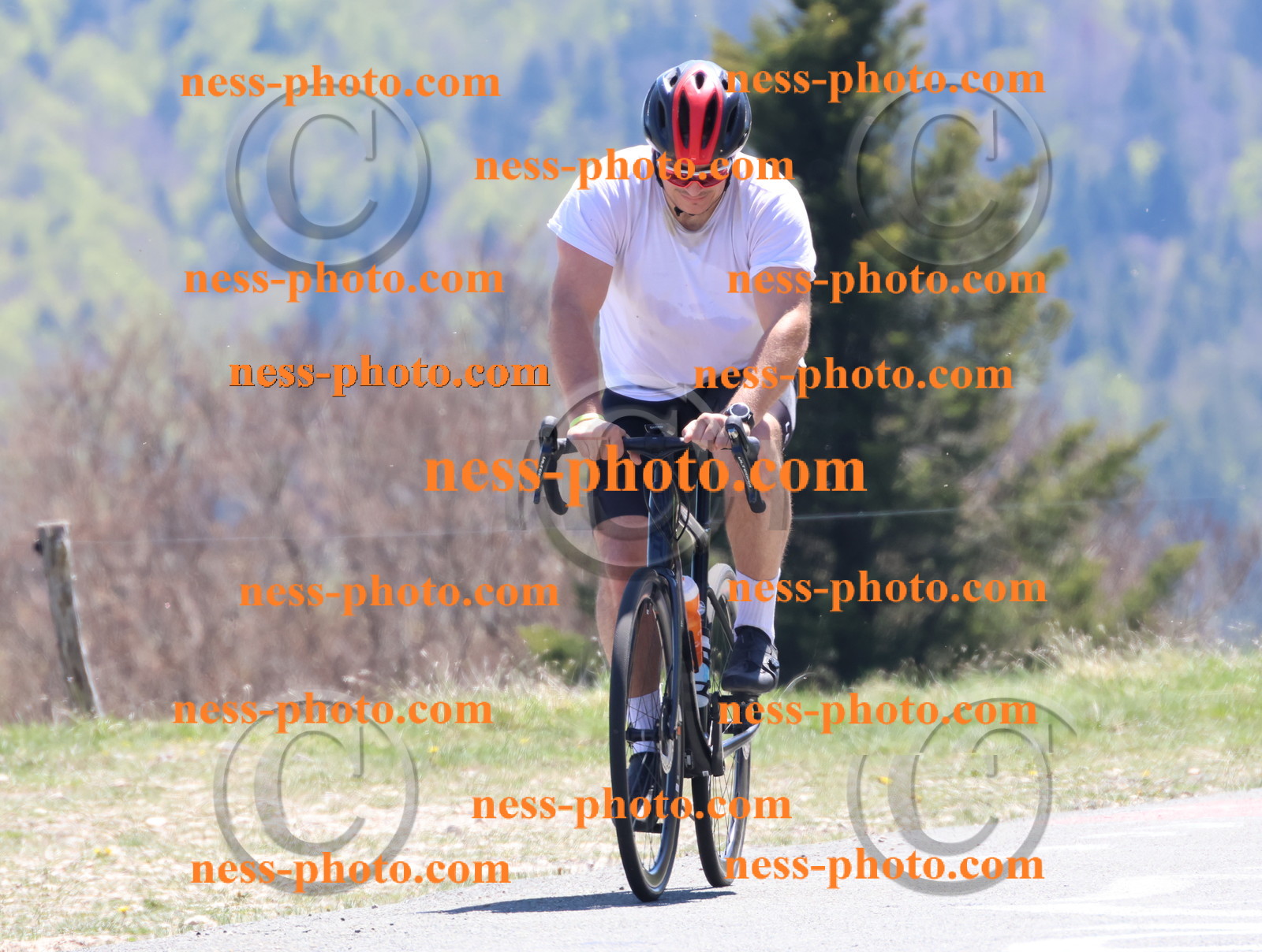 Col du Grand Colombier (748).JPG