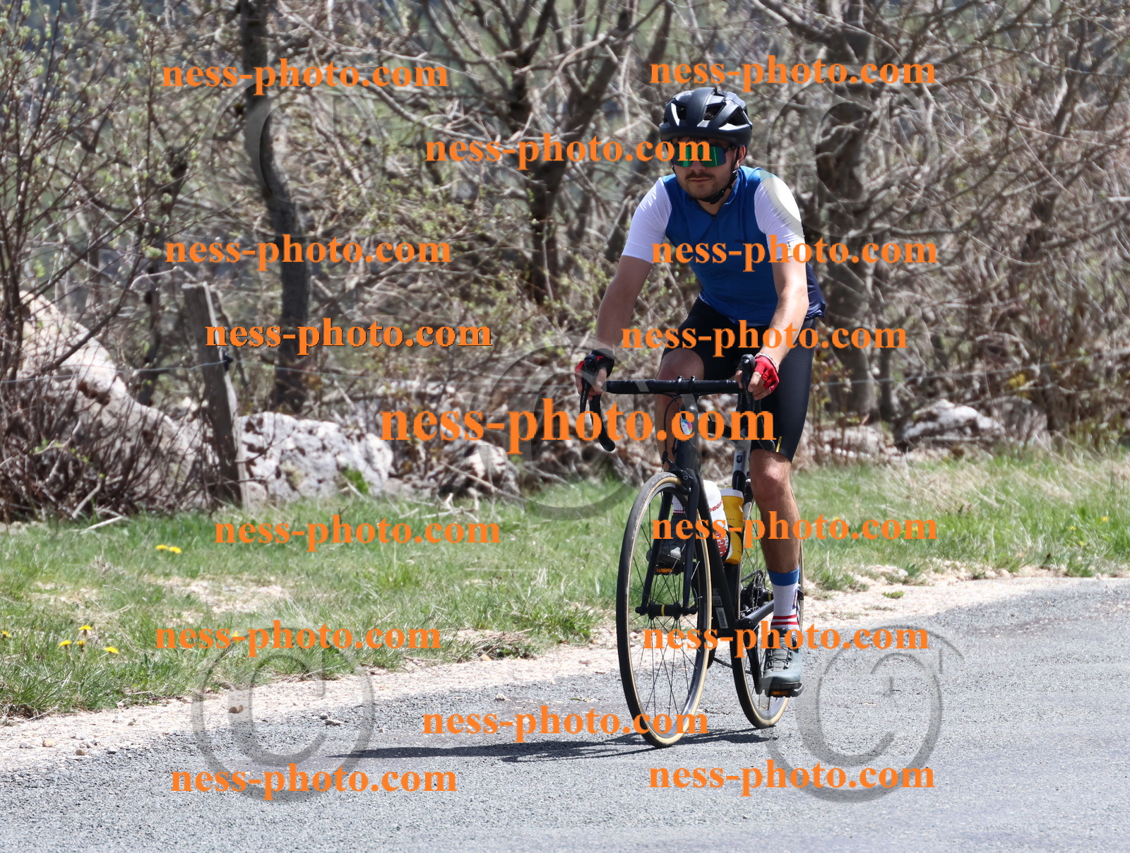 Col du Grand Colombier (880).JPG