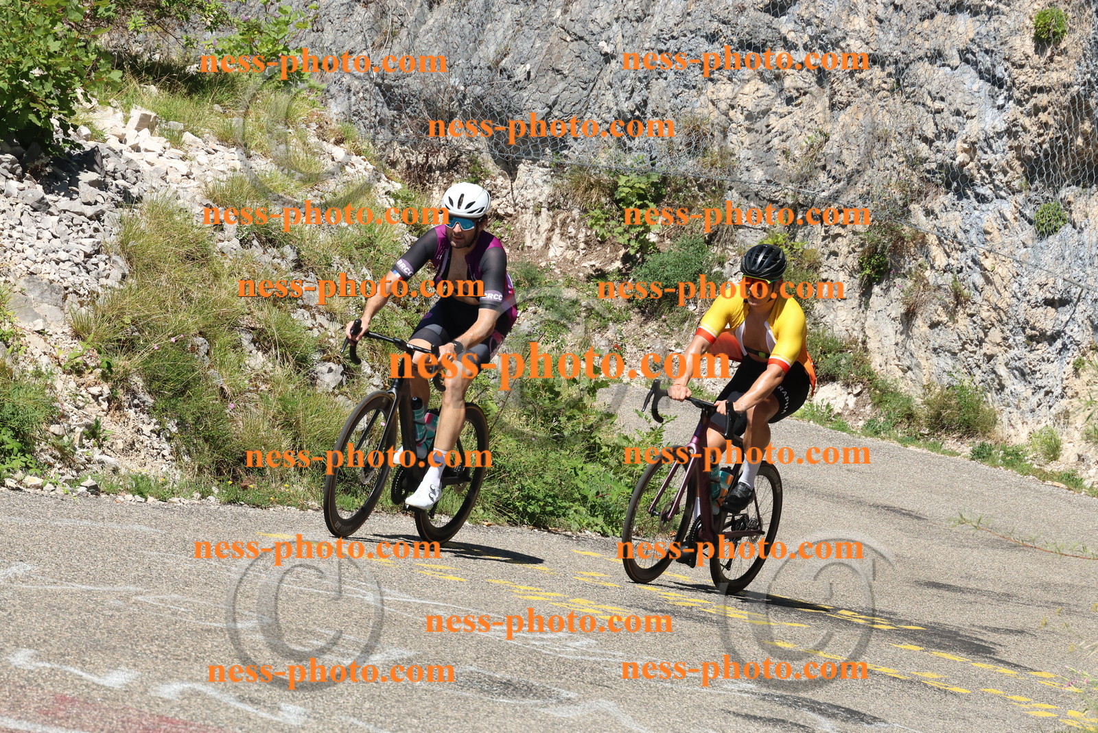 Col du Grand Colombier (566).JPG