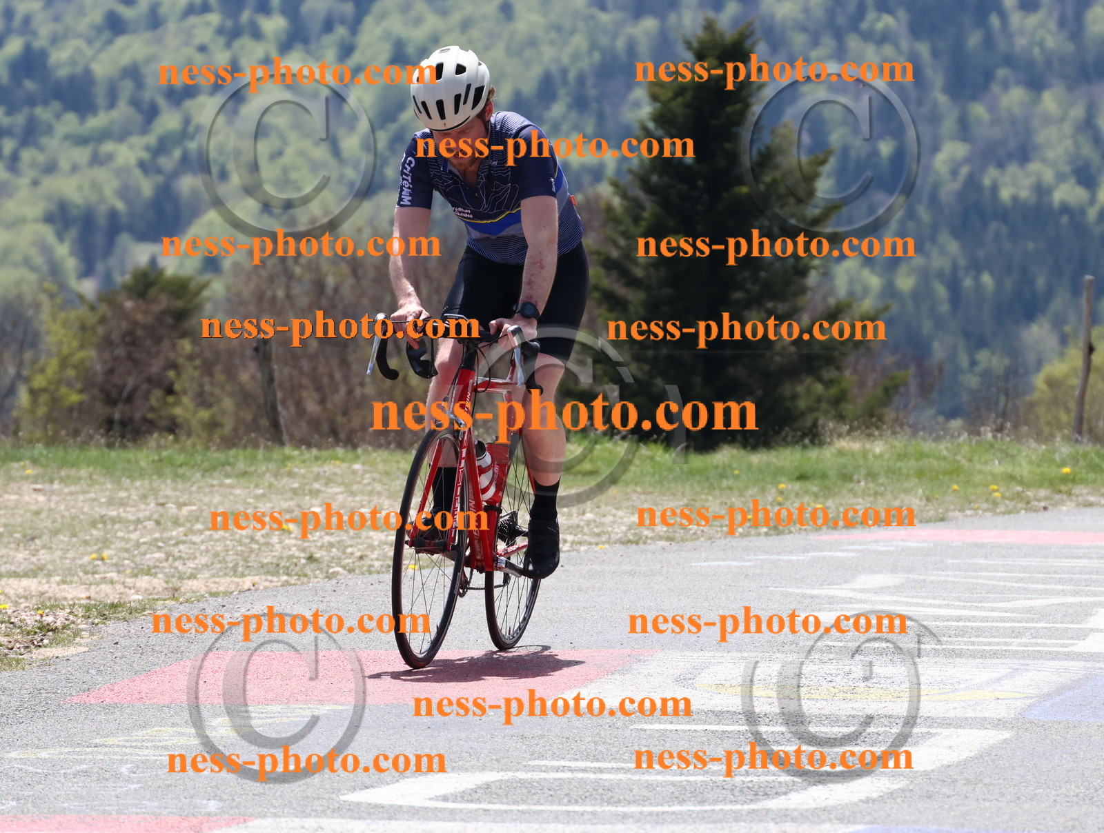 Col du Grand Colombier (392).JPG