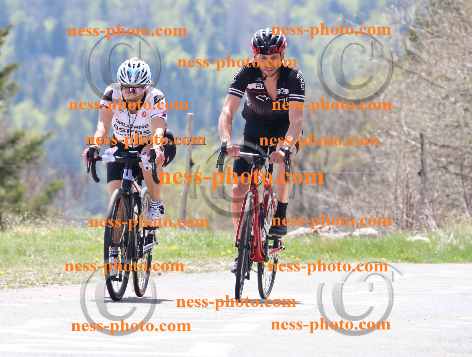 Col du Grand Colombier (463).JPG