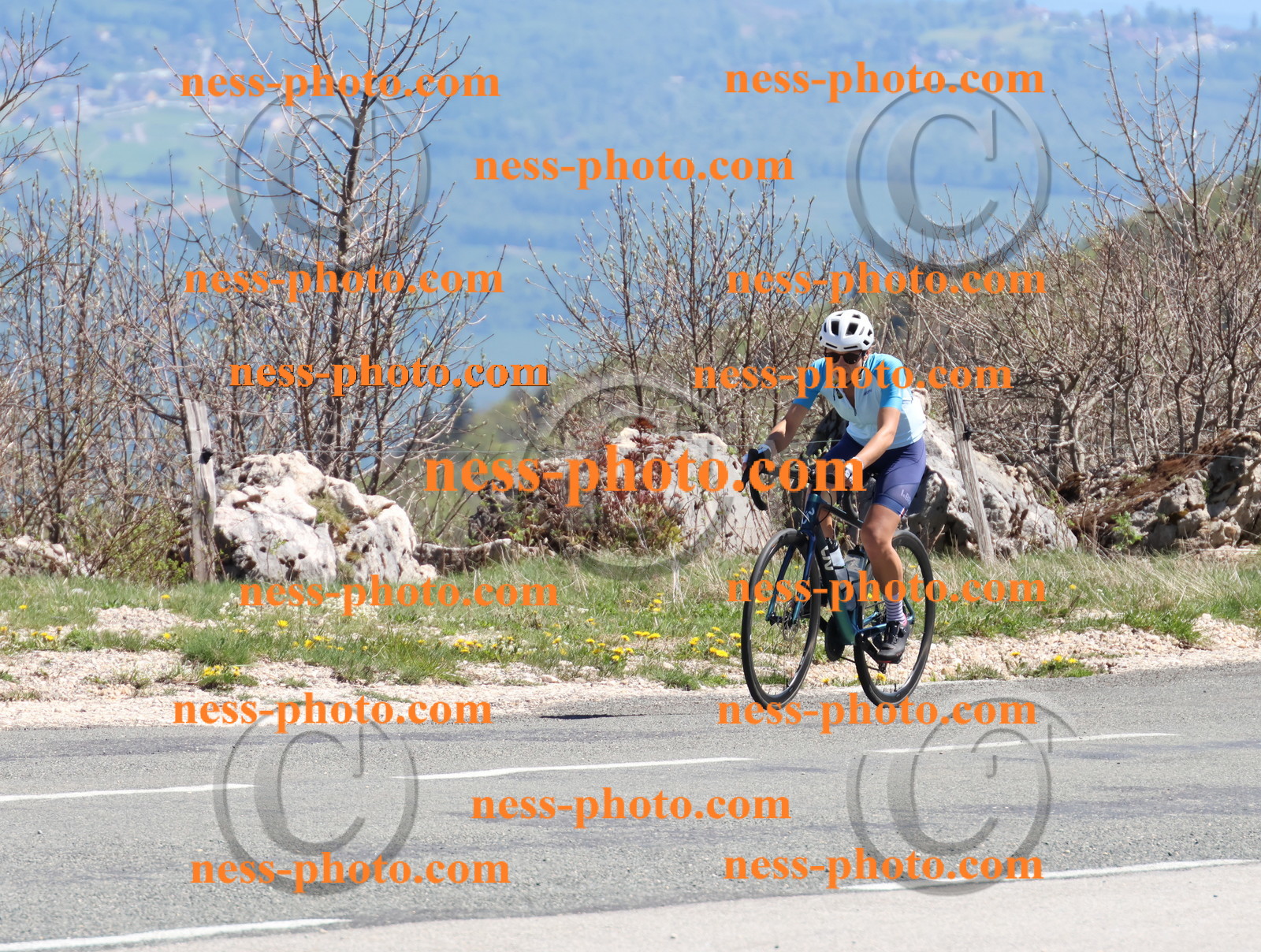 Col du Grand Colombier (912).JPG