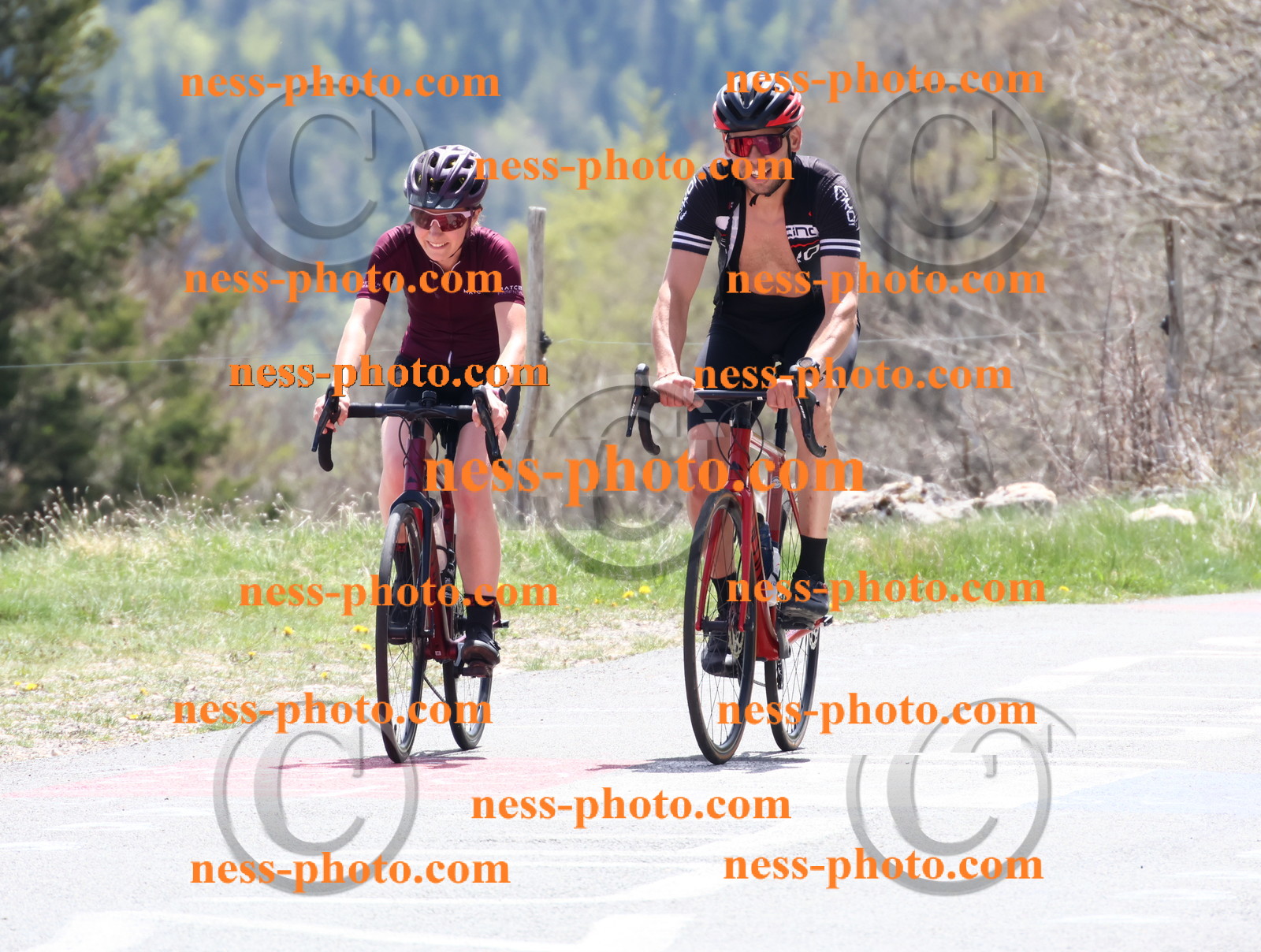 Col du Grand Colombier (640).JPG