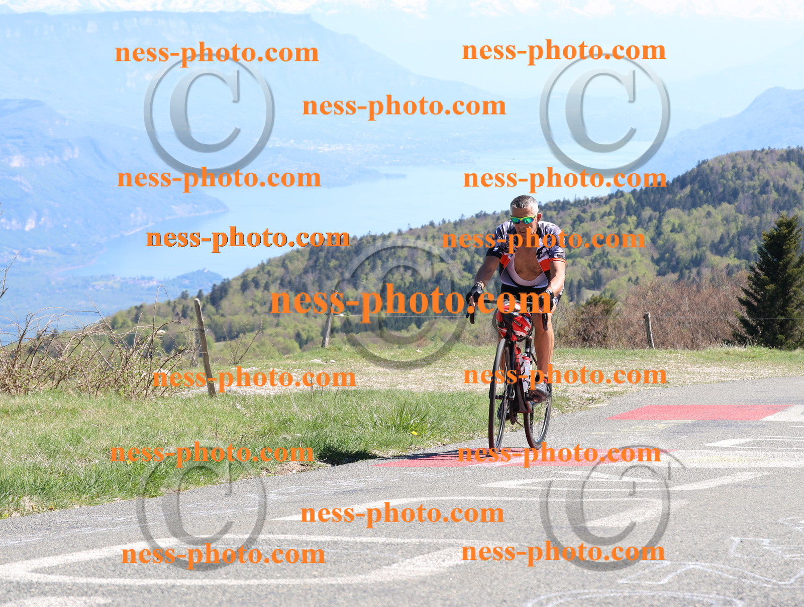 Col du Grand Colombier (1007).JPG