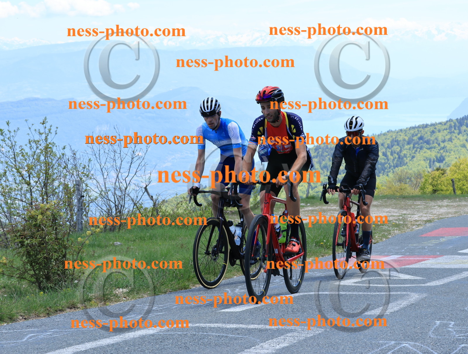 Col du Grand Colombier (479).JPG