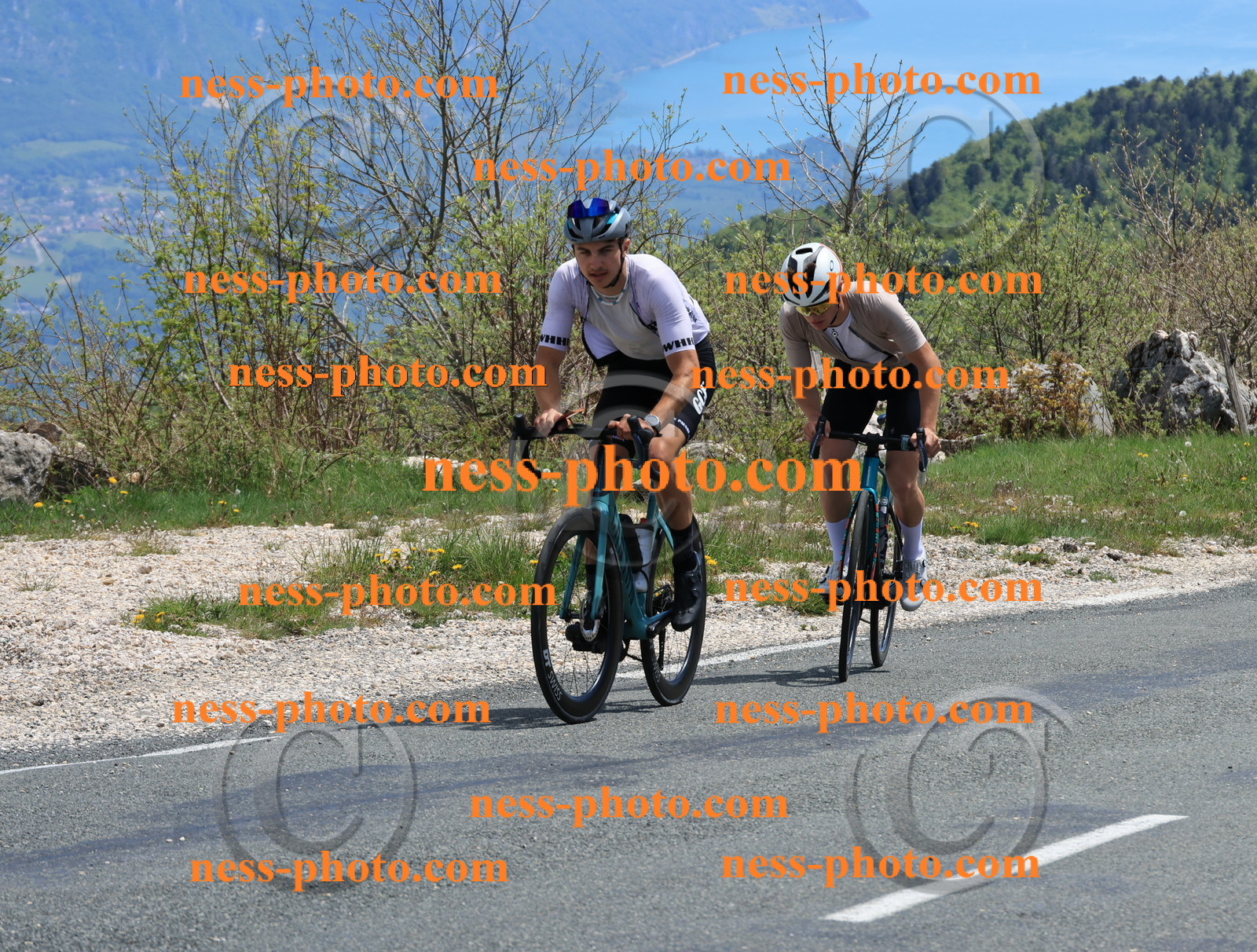 Col du Grand Colombier (544).JPG