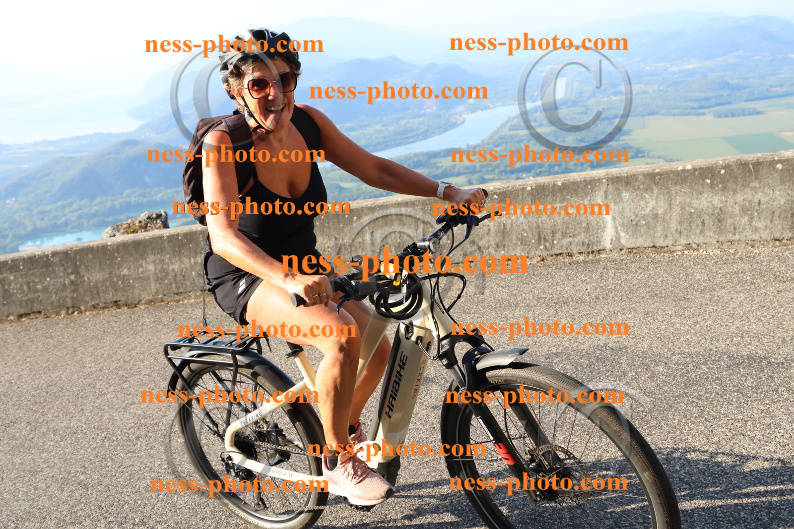 Col du Grand Colombier (326).JPG