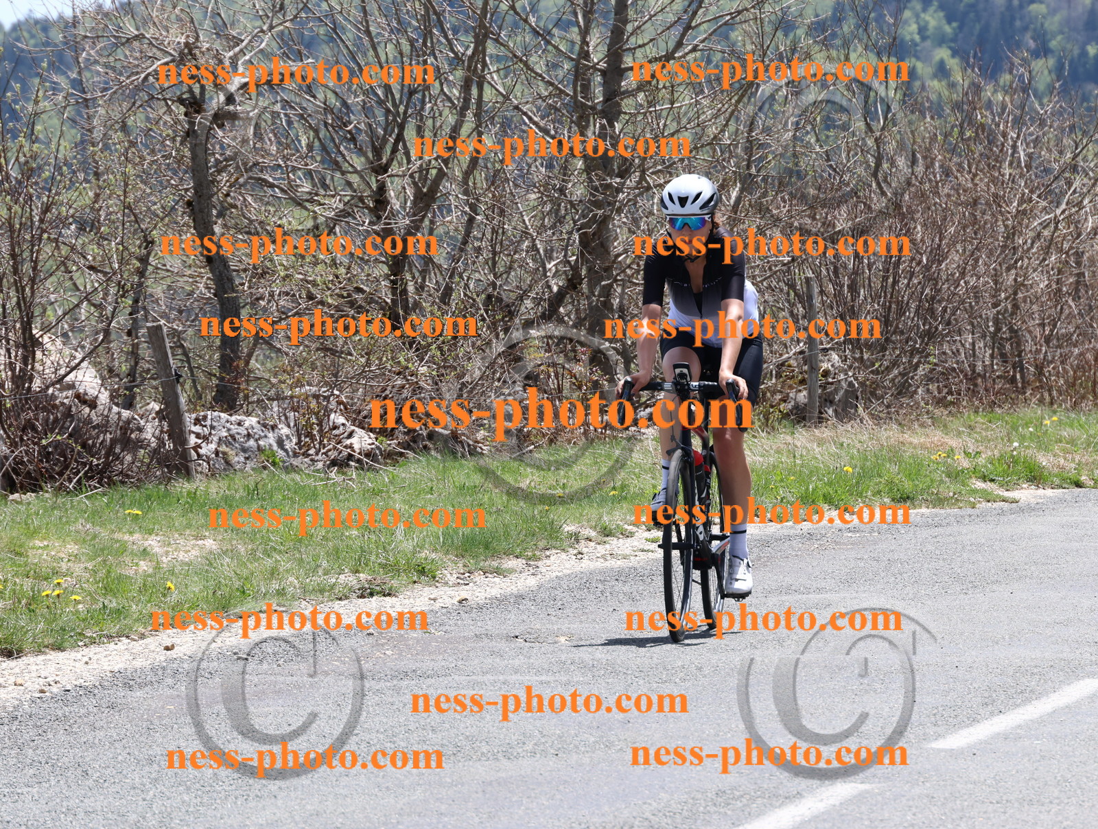 Col du Grand Colombier (679).JPG