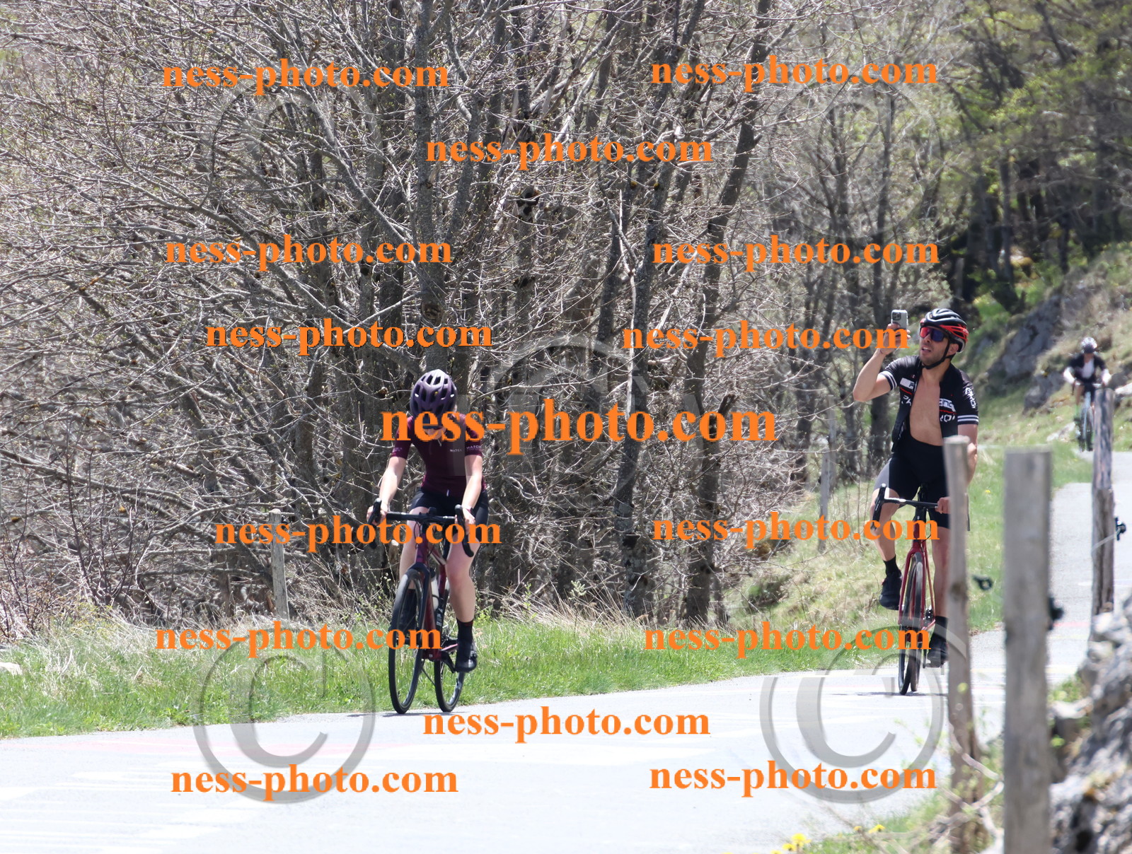 Col du Grand Colombier (638).JPG