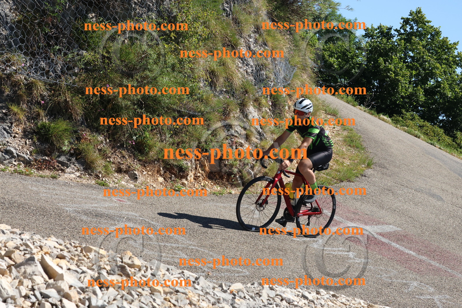 Col du Grand Colombier (558).JPG