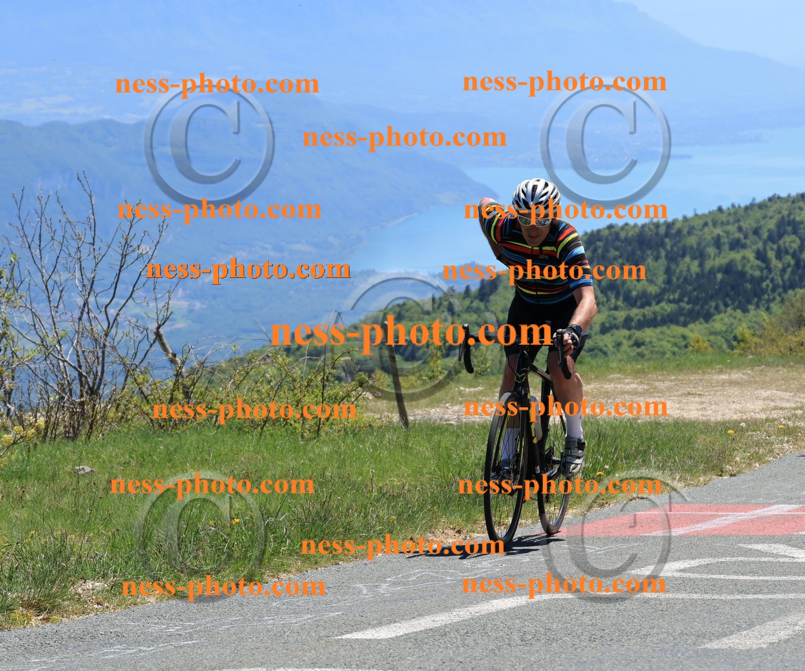 Col du Grand Colombier (431).JPG