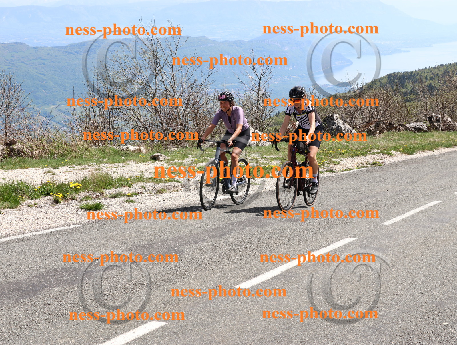 Col du Grand Colombier (871).JPG