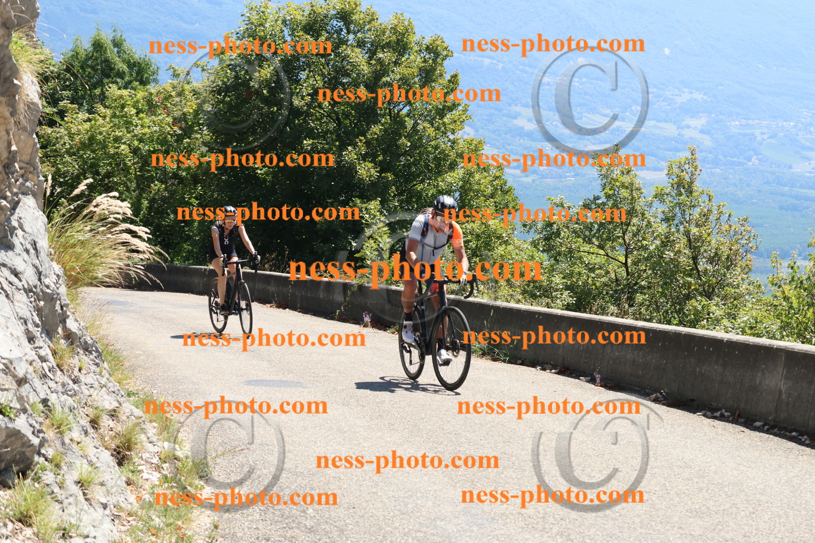 Col du Grand Colombier (243).JPG