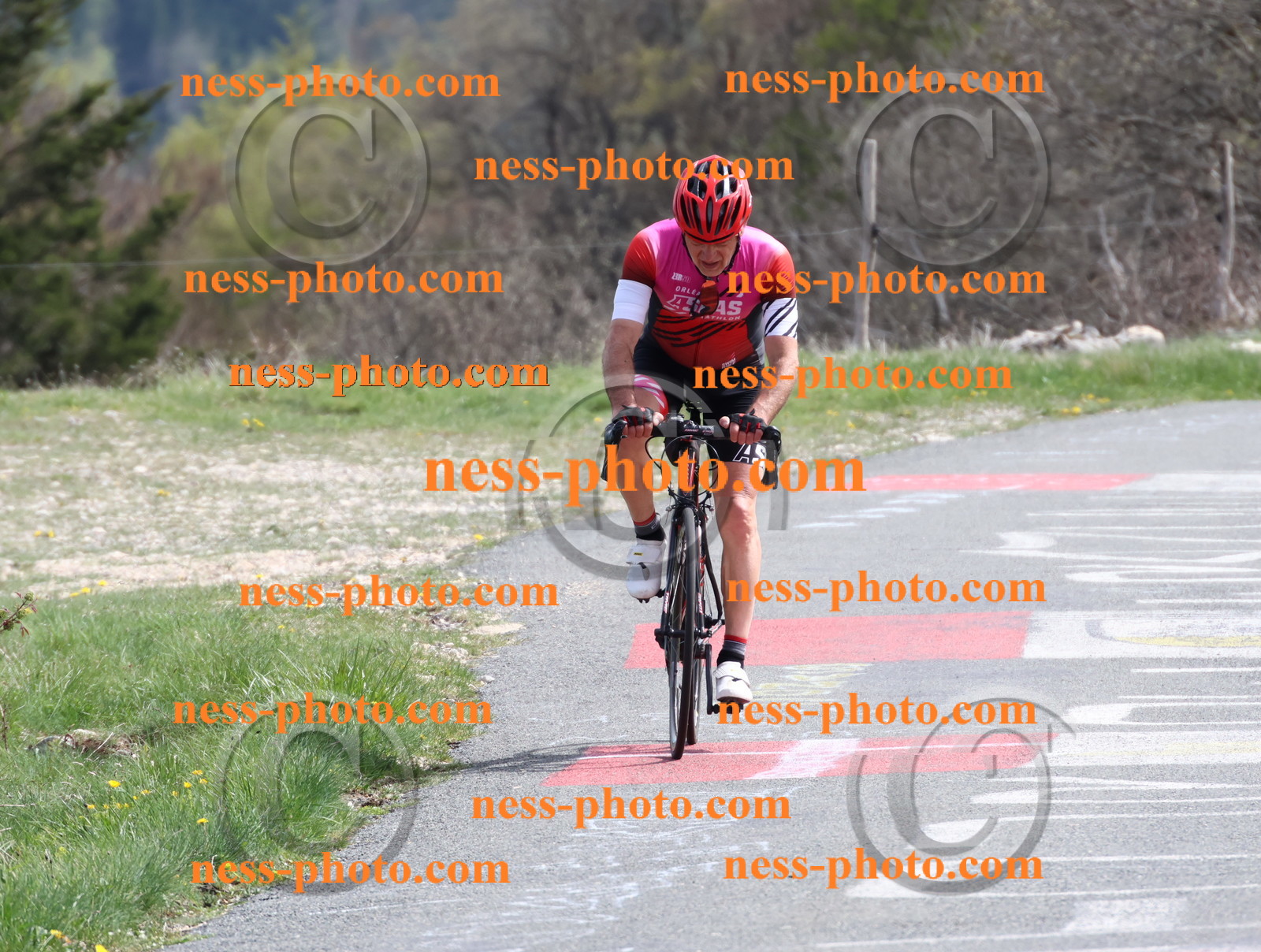 Col du Grand Colombier (1016).JPG