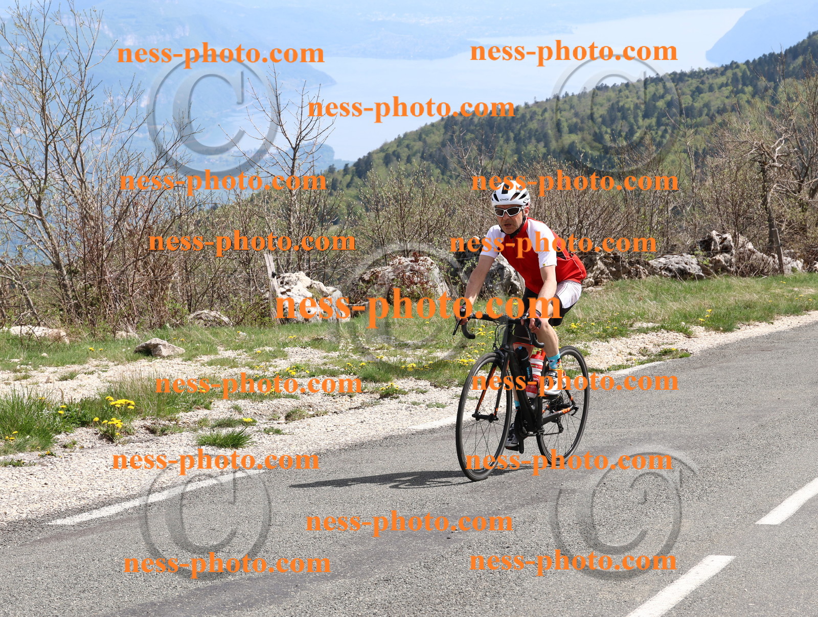 Col du Grand Colombier (978).JPG