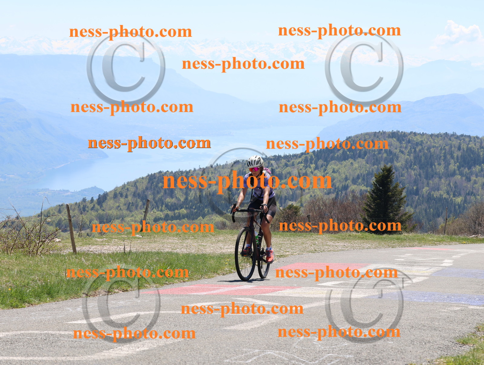 Col du Grand Colombier (576).JPG