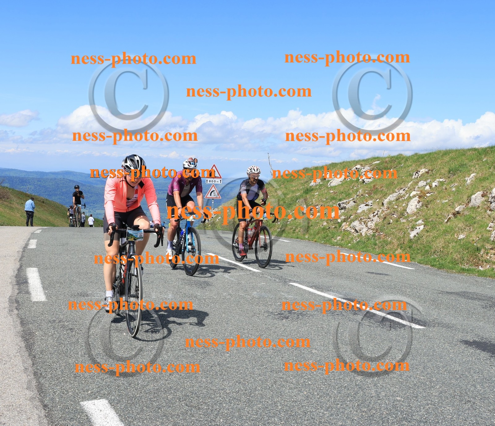 Col du Grand Colombier (1510).JPG