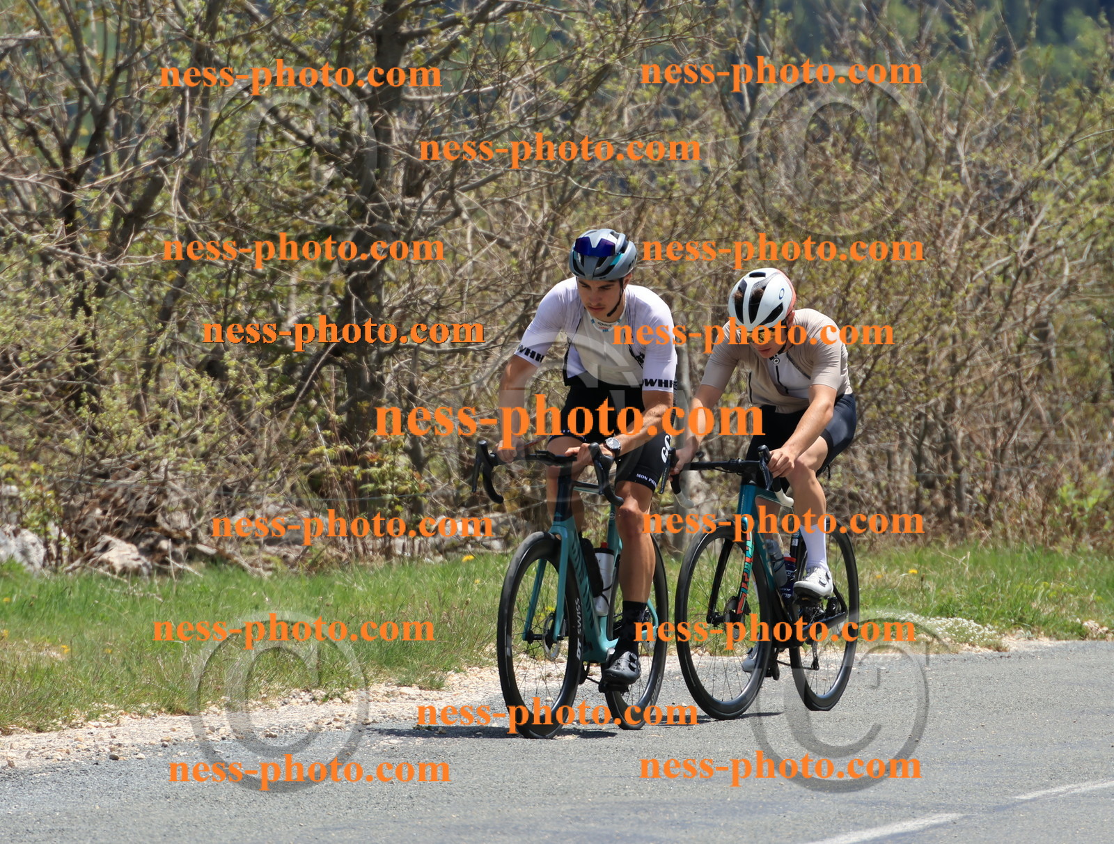 Col du Grand Colombier (538).JPG