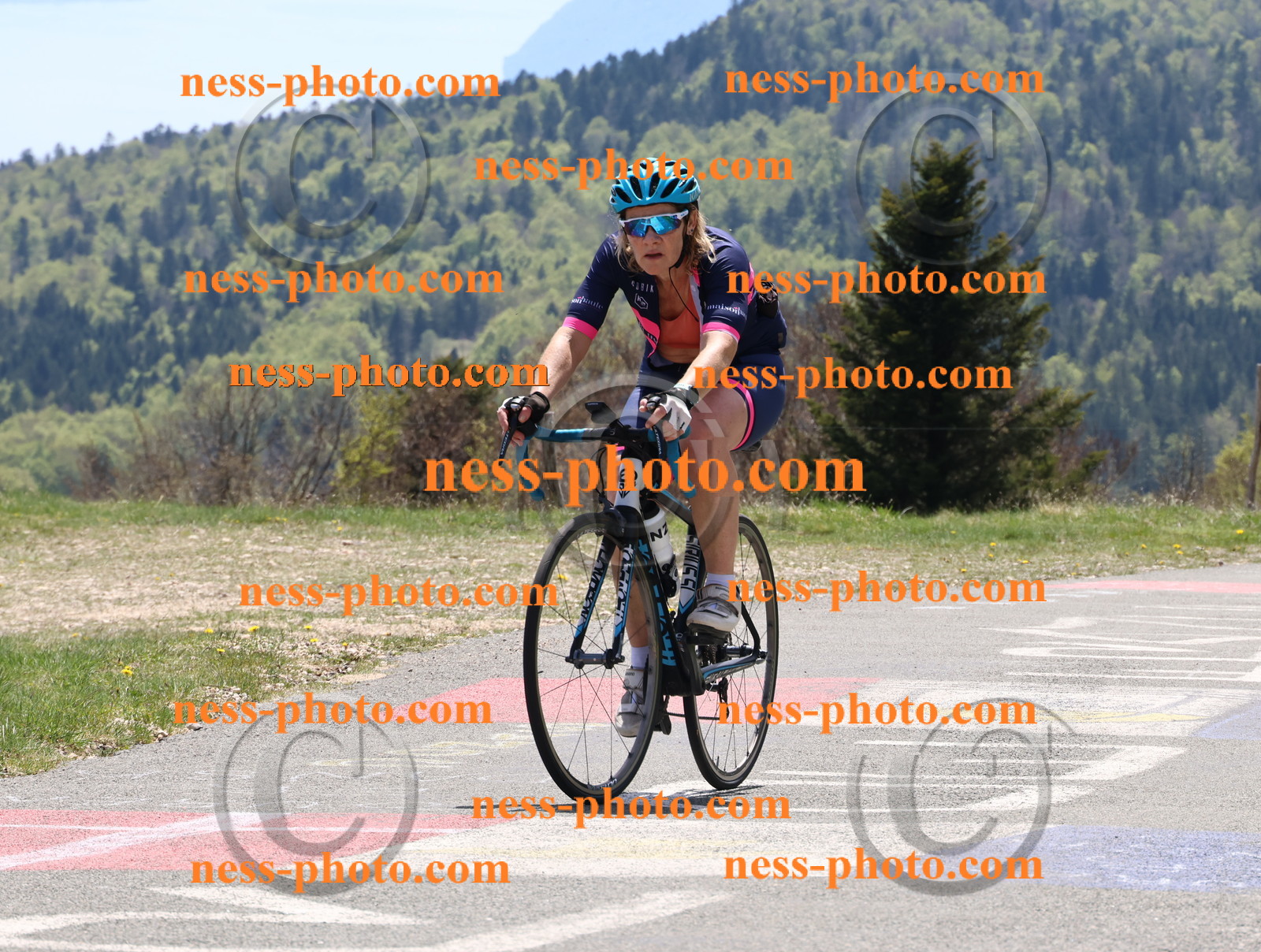 Col du Grand Colombier (589).JPG