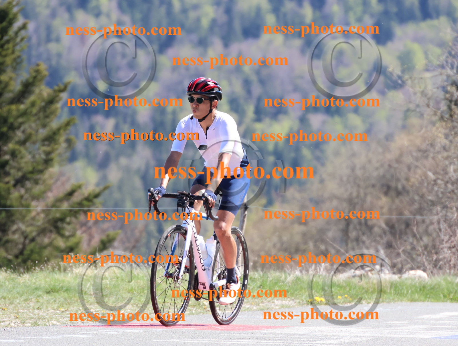 Col du Grand Colombier (1057).JPG