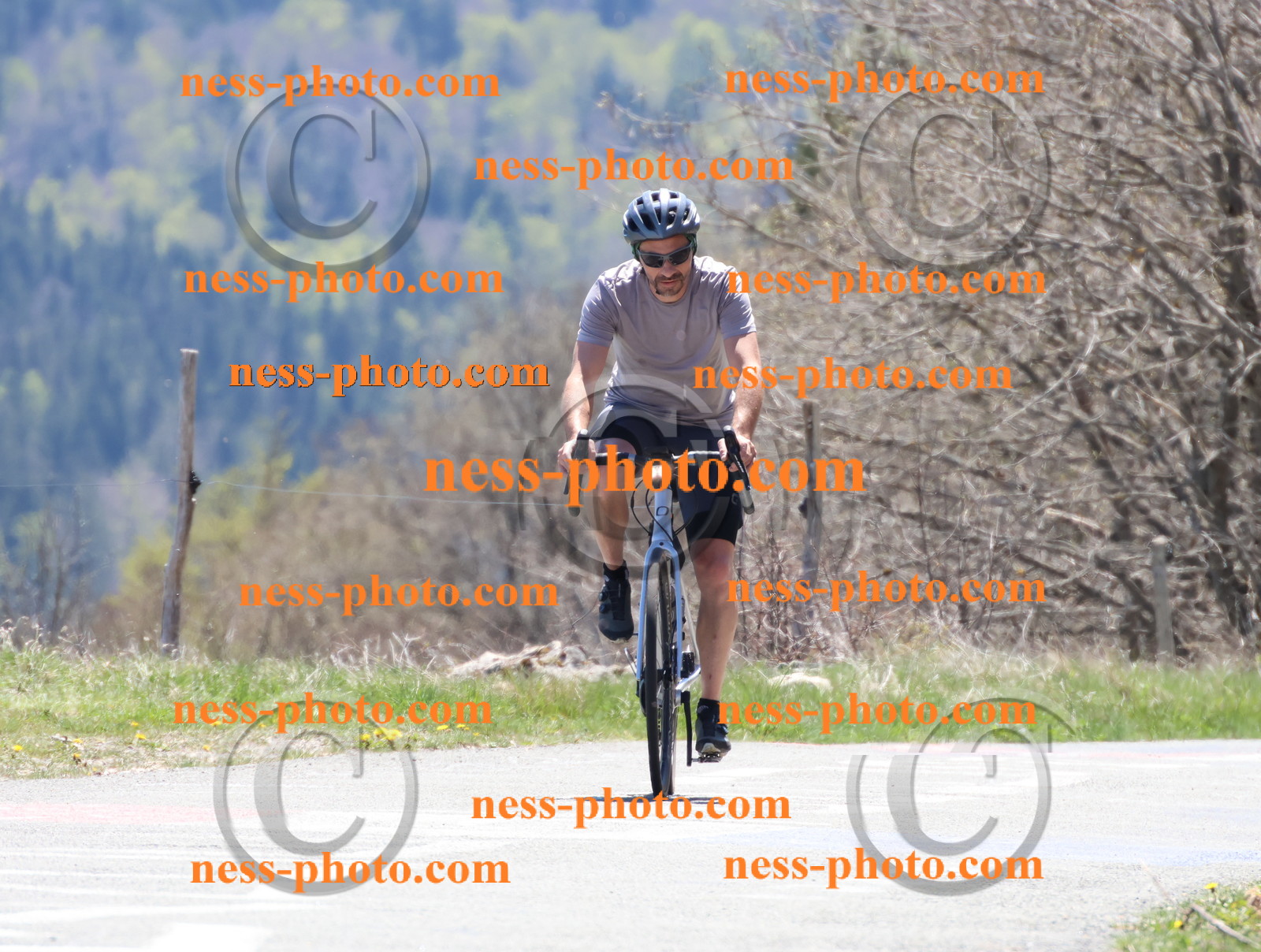 Col du Grand Colombier (560).JPG