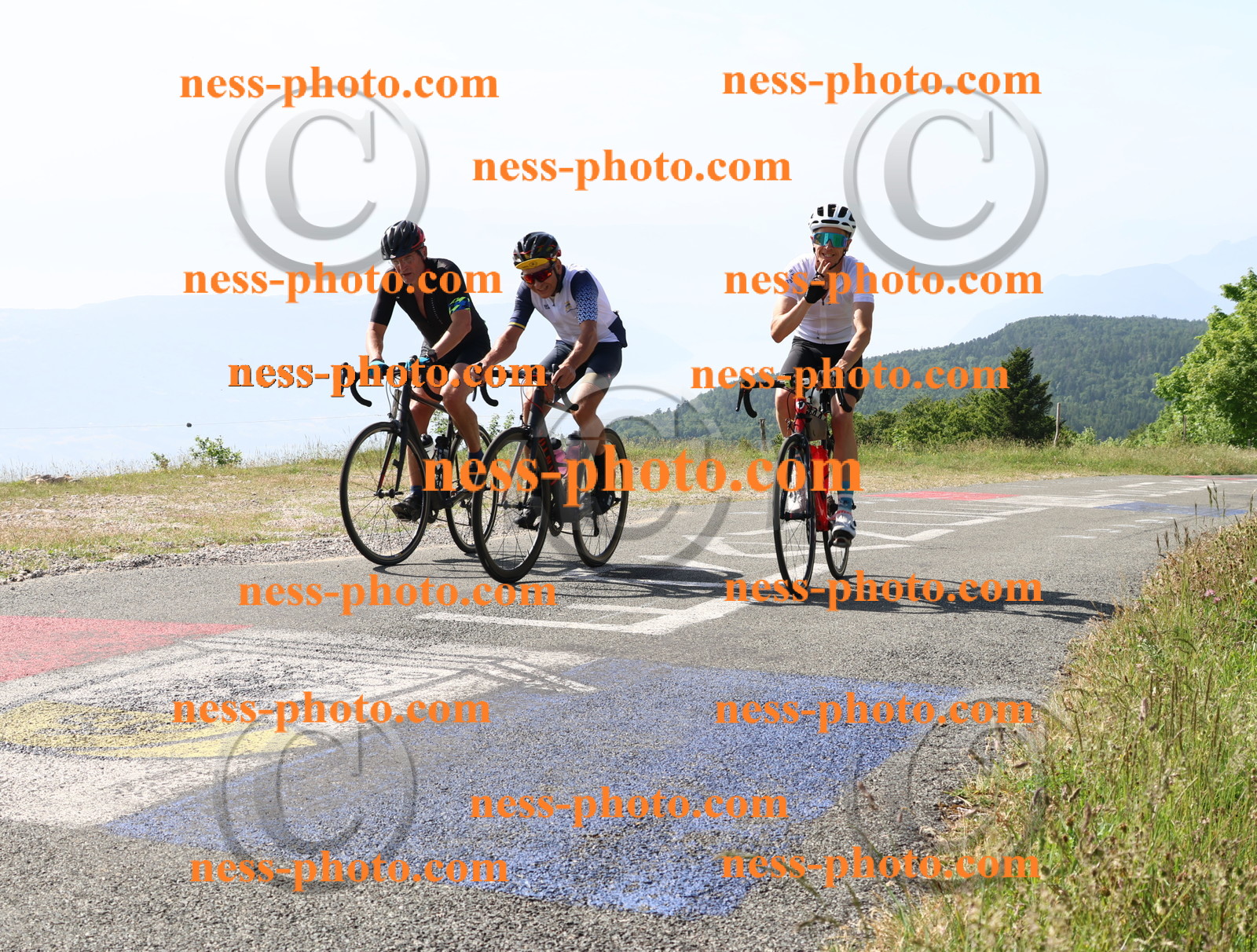 Col du grand Colombier (351).JPG