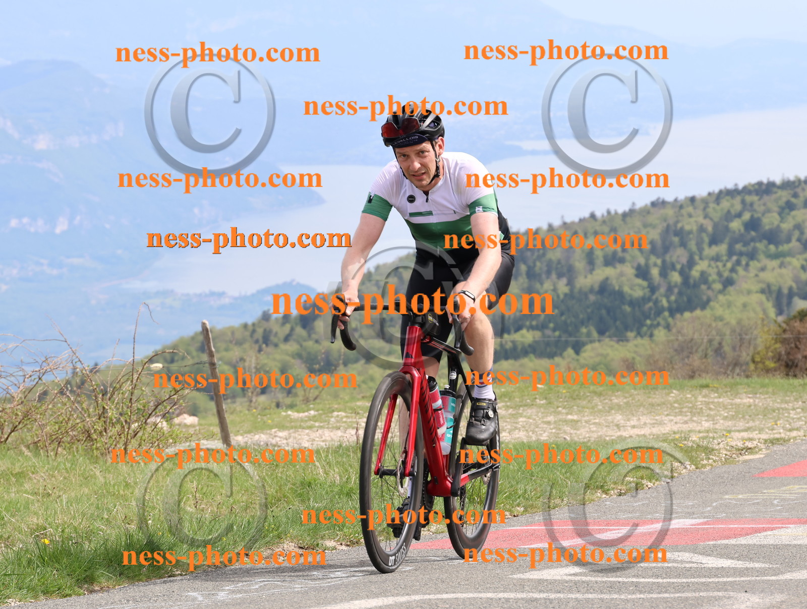 Col du Grand Colombier (1128).JPG